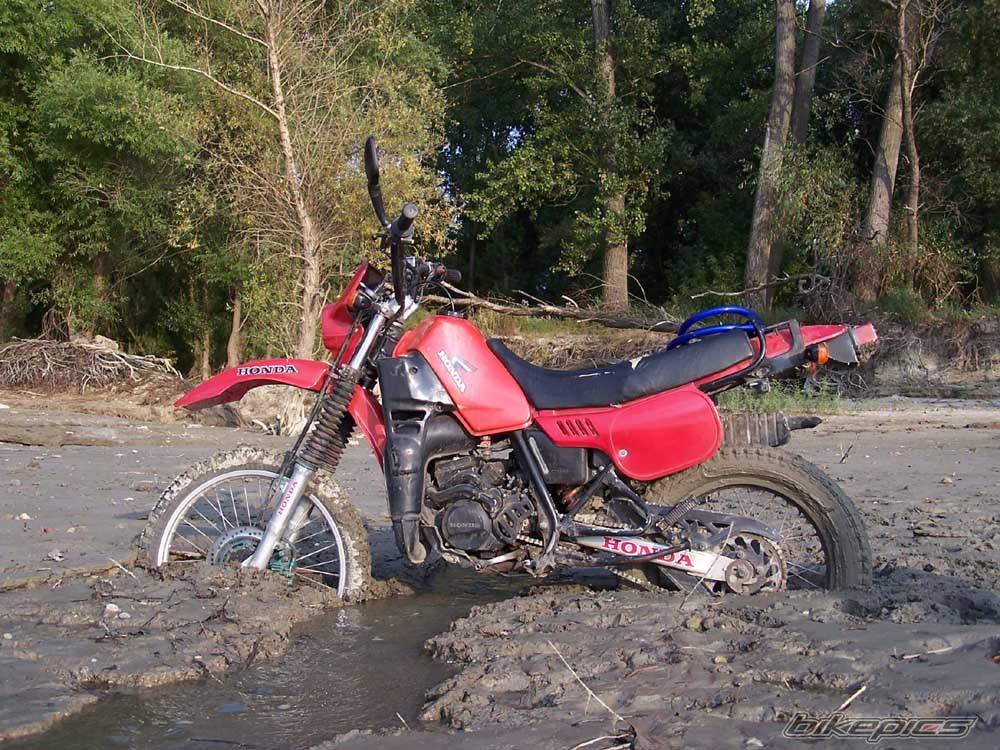 1989 HONDA MTX 125 | Picture 213579 motorcycle photo