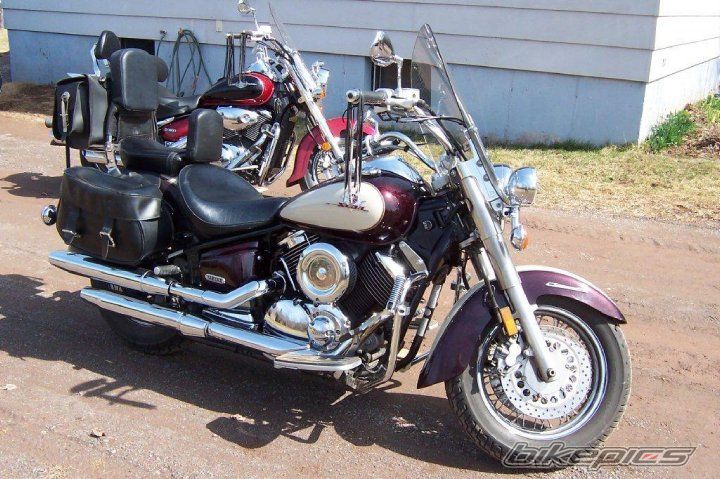 2000 YAMAHA V STAR 1100 | Picture 2136289 motorcycle photo