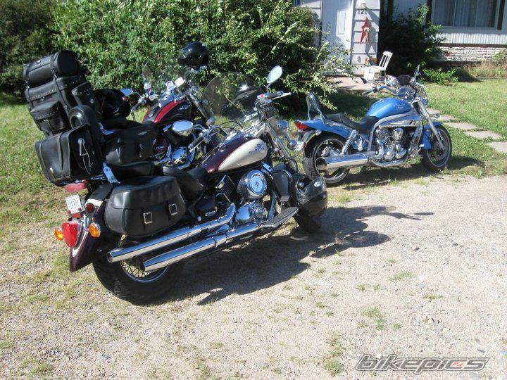 2000 YAMAHA V STAR 1100 | Picture 2136291 motorcycle photo