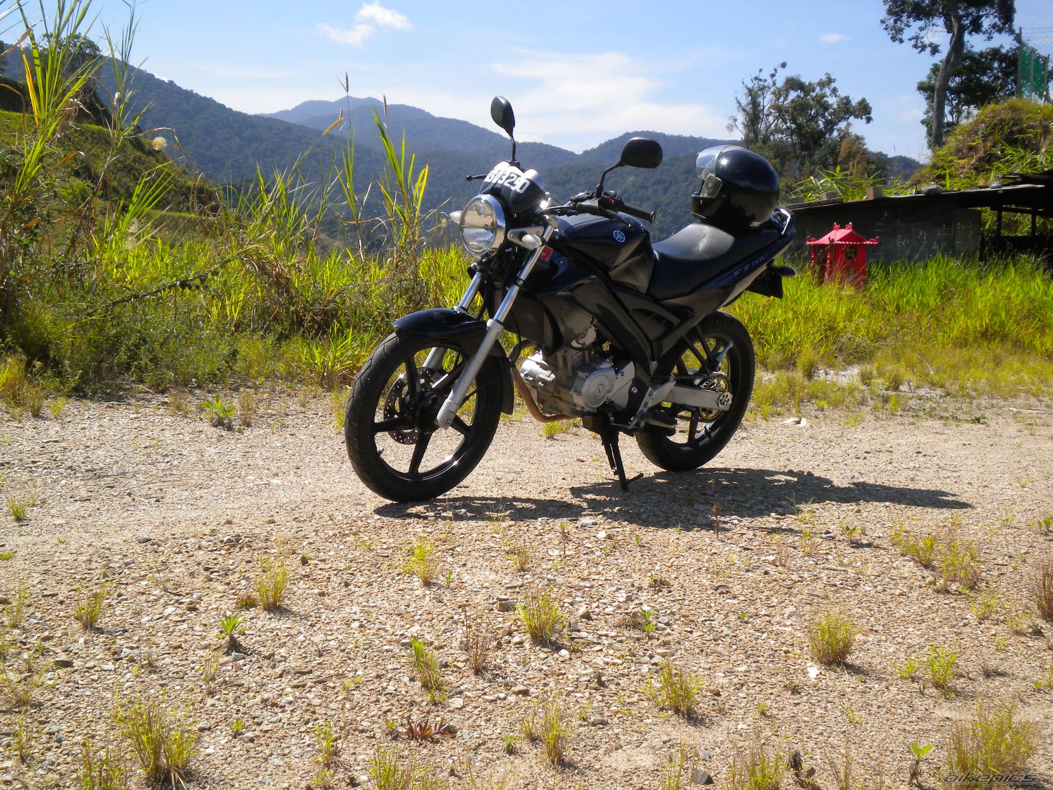 2010 YAMAHA FZ 150 | Picture 2136389 motorcycle photo