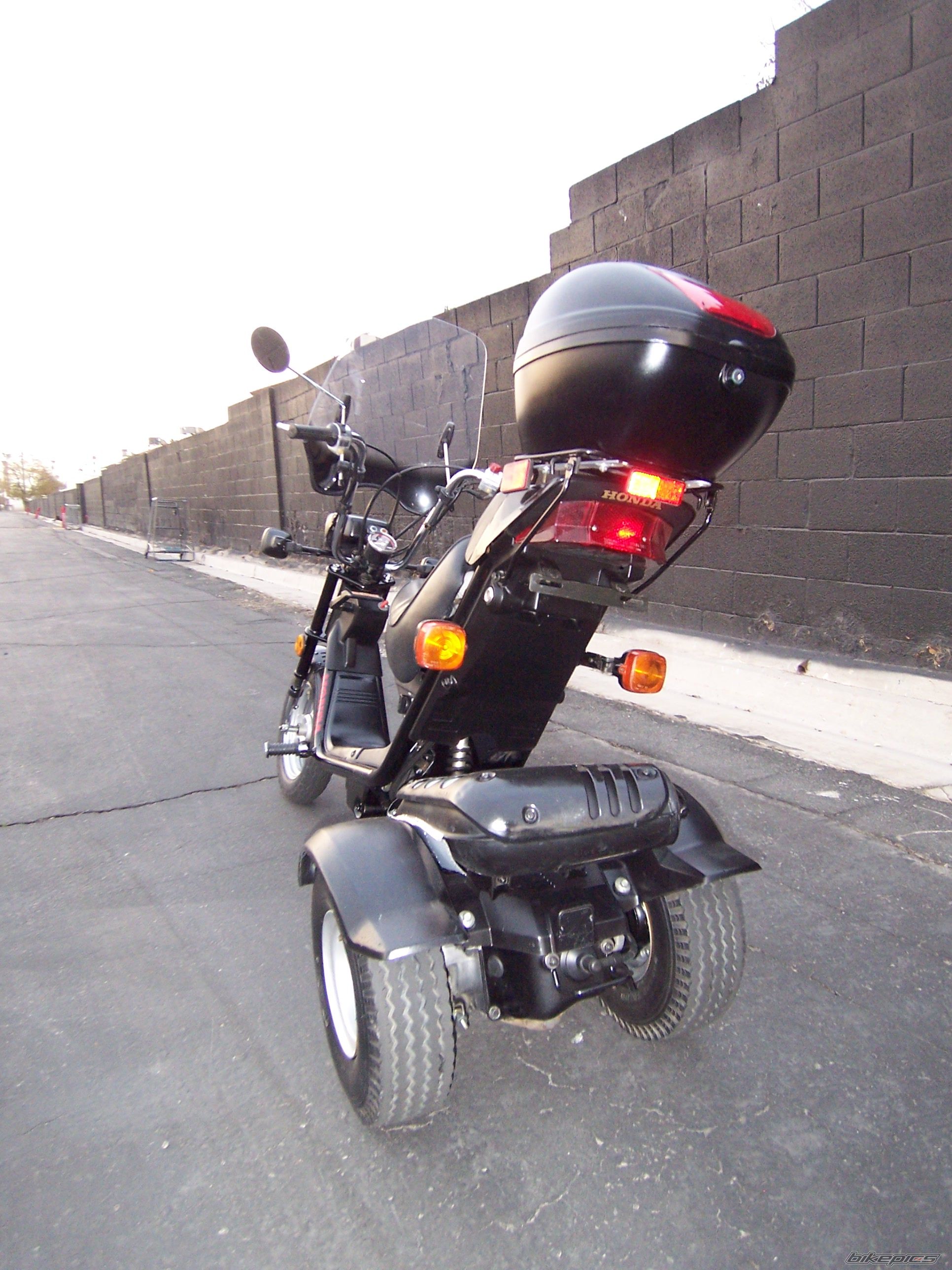 1985 HONDA GYRO 50 | Picture 2136441 motorcycle photo