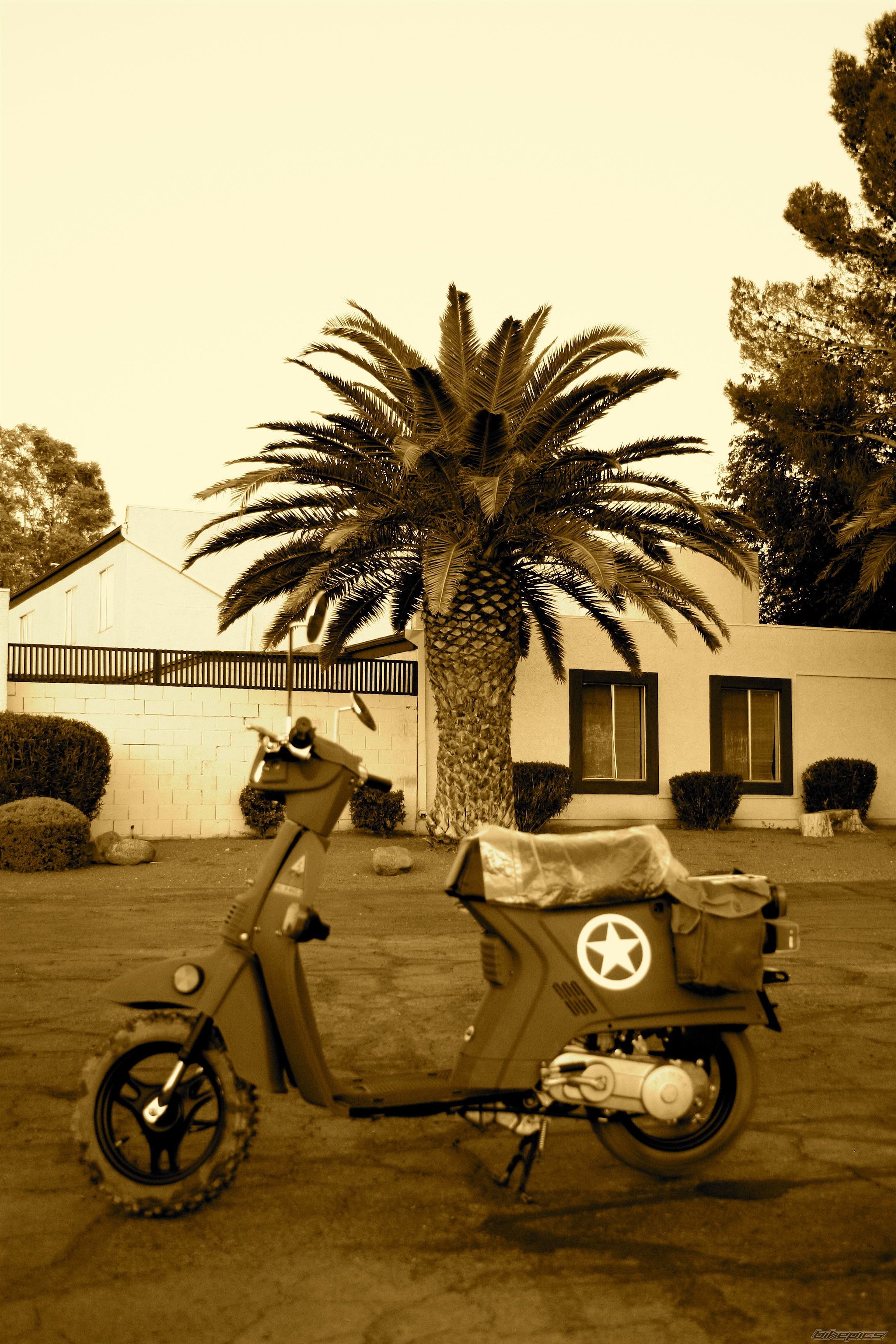 1986 HONDA SPREE | Picture 2136450 motorcycle photo