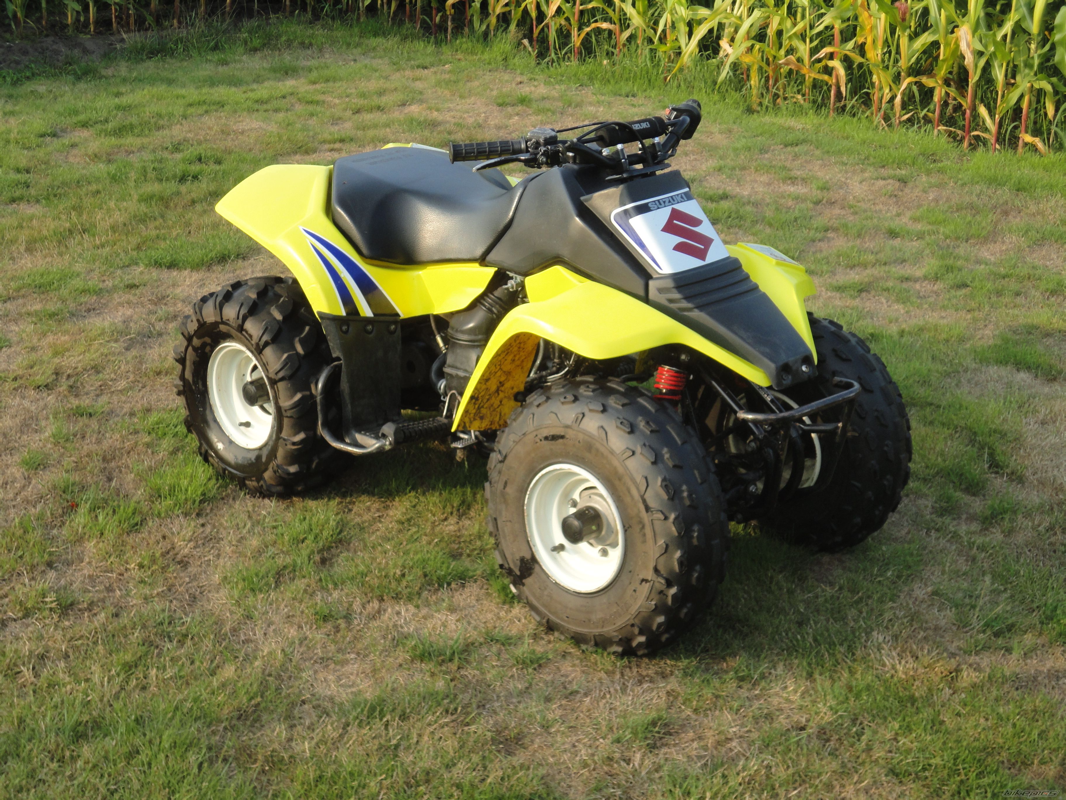 2006 SUZUKI LT 80 | Picture 2137133 motorcycle photo