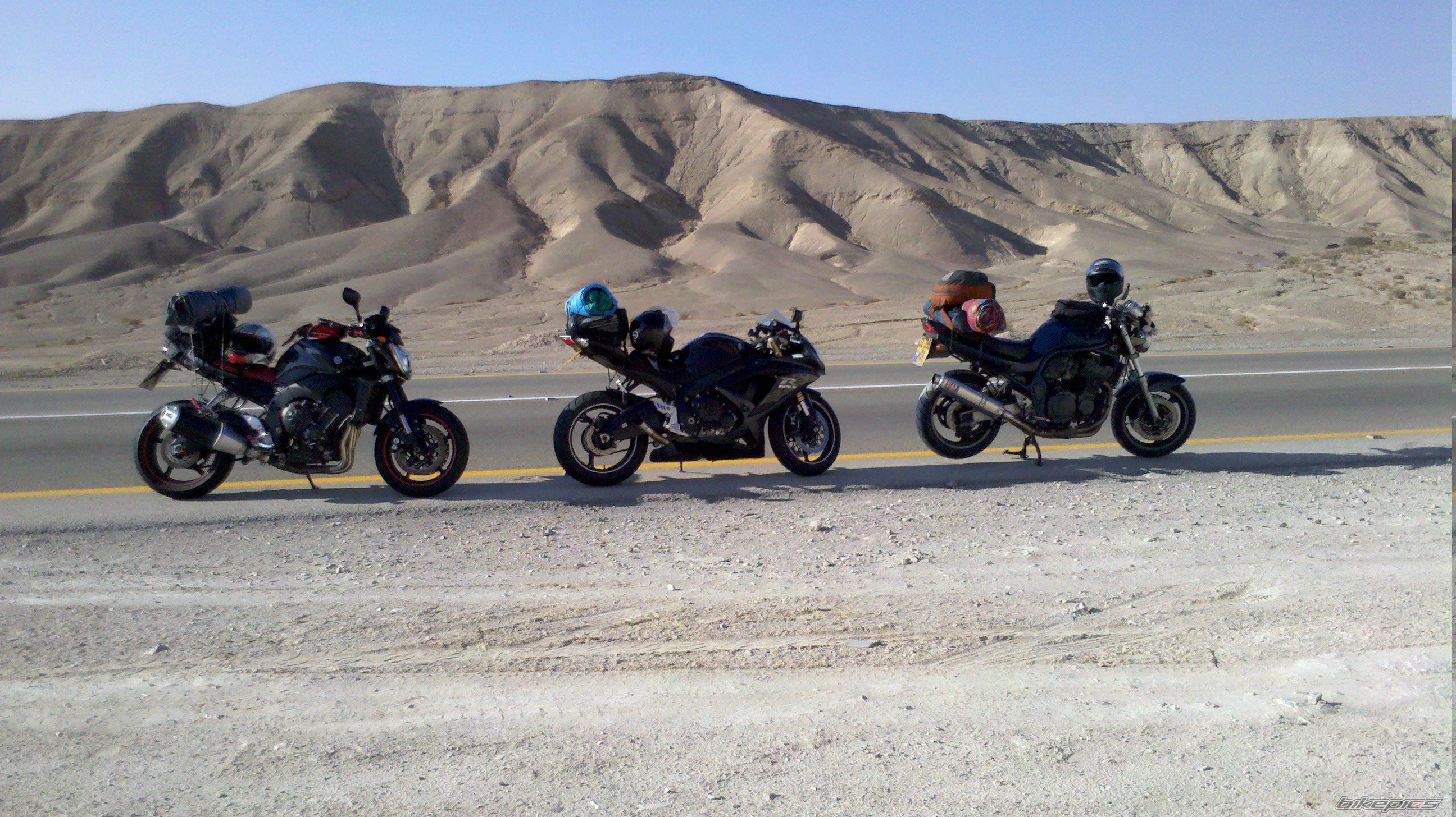 2009 YAMAHA FZ 1N | Picture 2137601 motorcycle photo