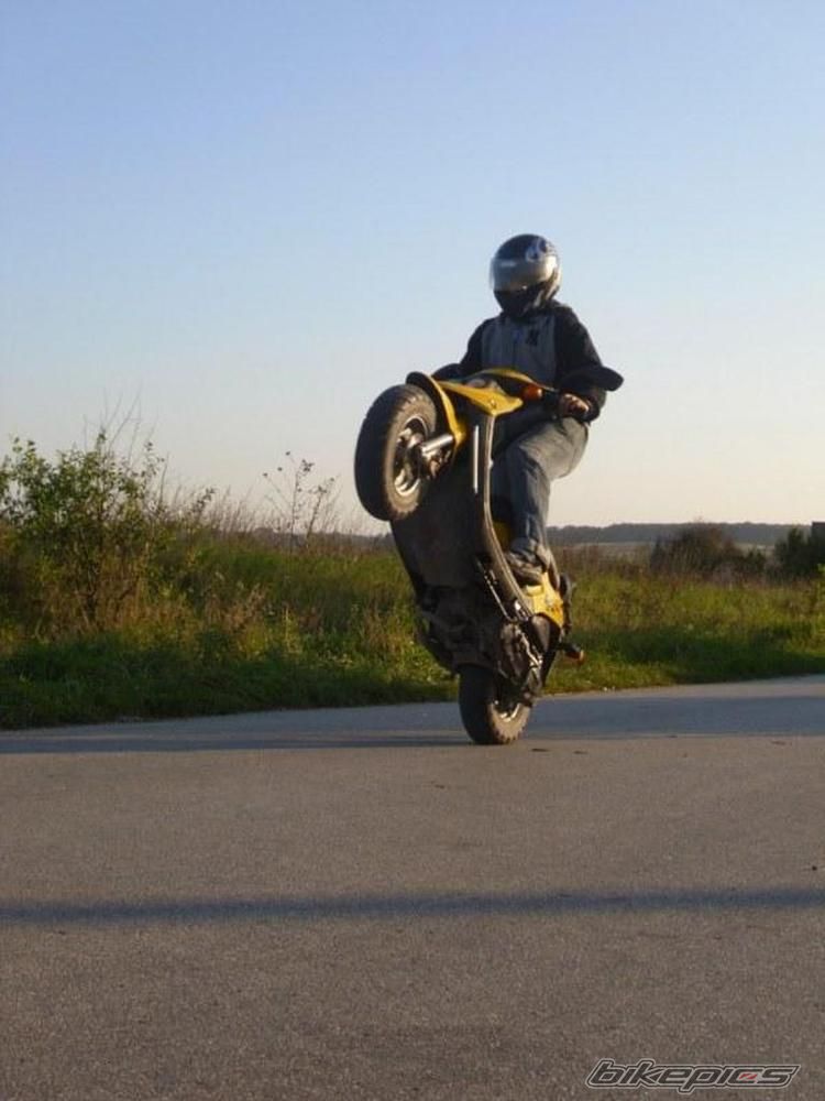 2005 PGO BIG MAX 50 | Picture 2137993 motorcycle photo