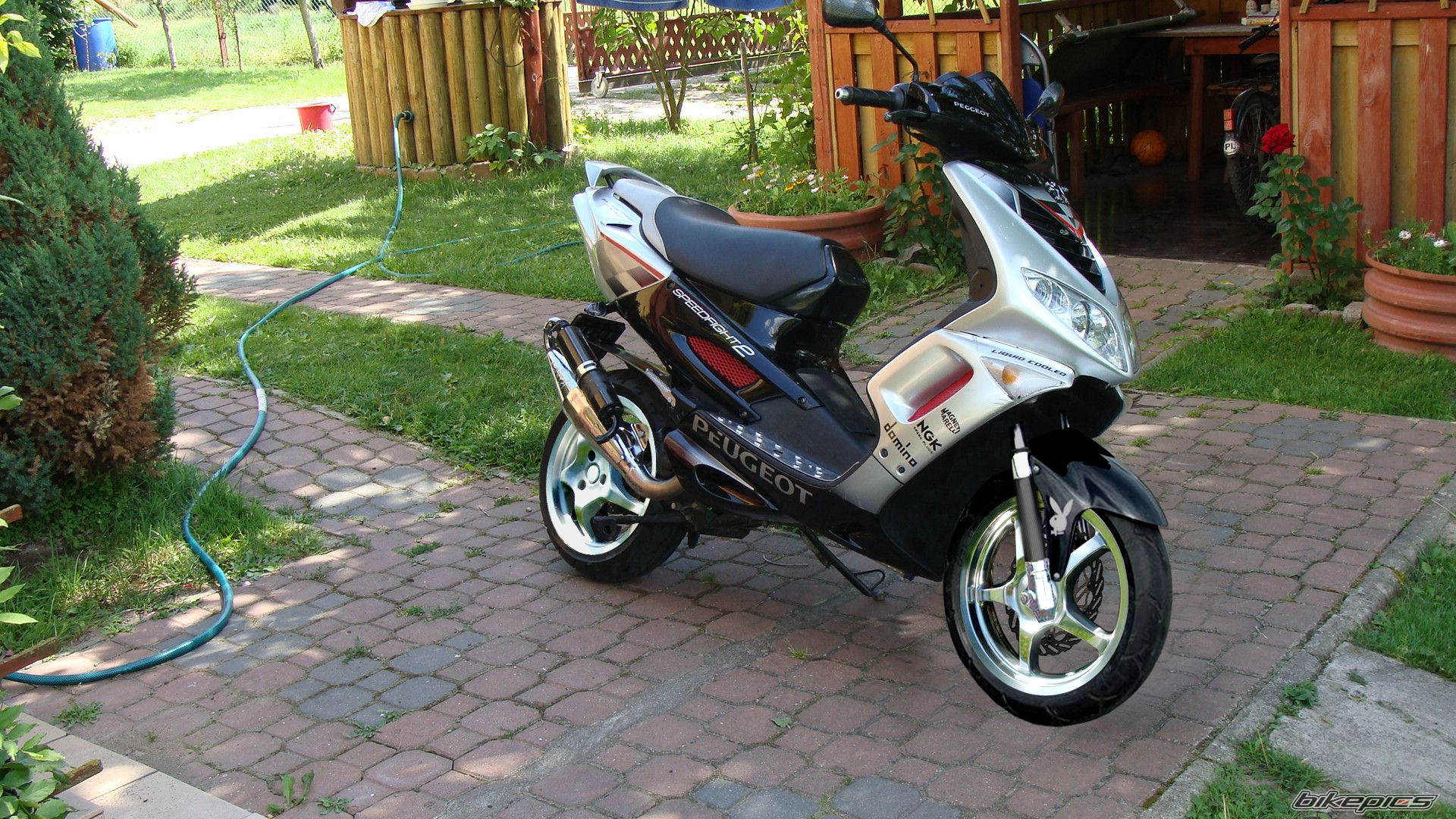    | Picture 2138433 motorcycle photo