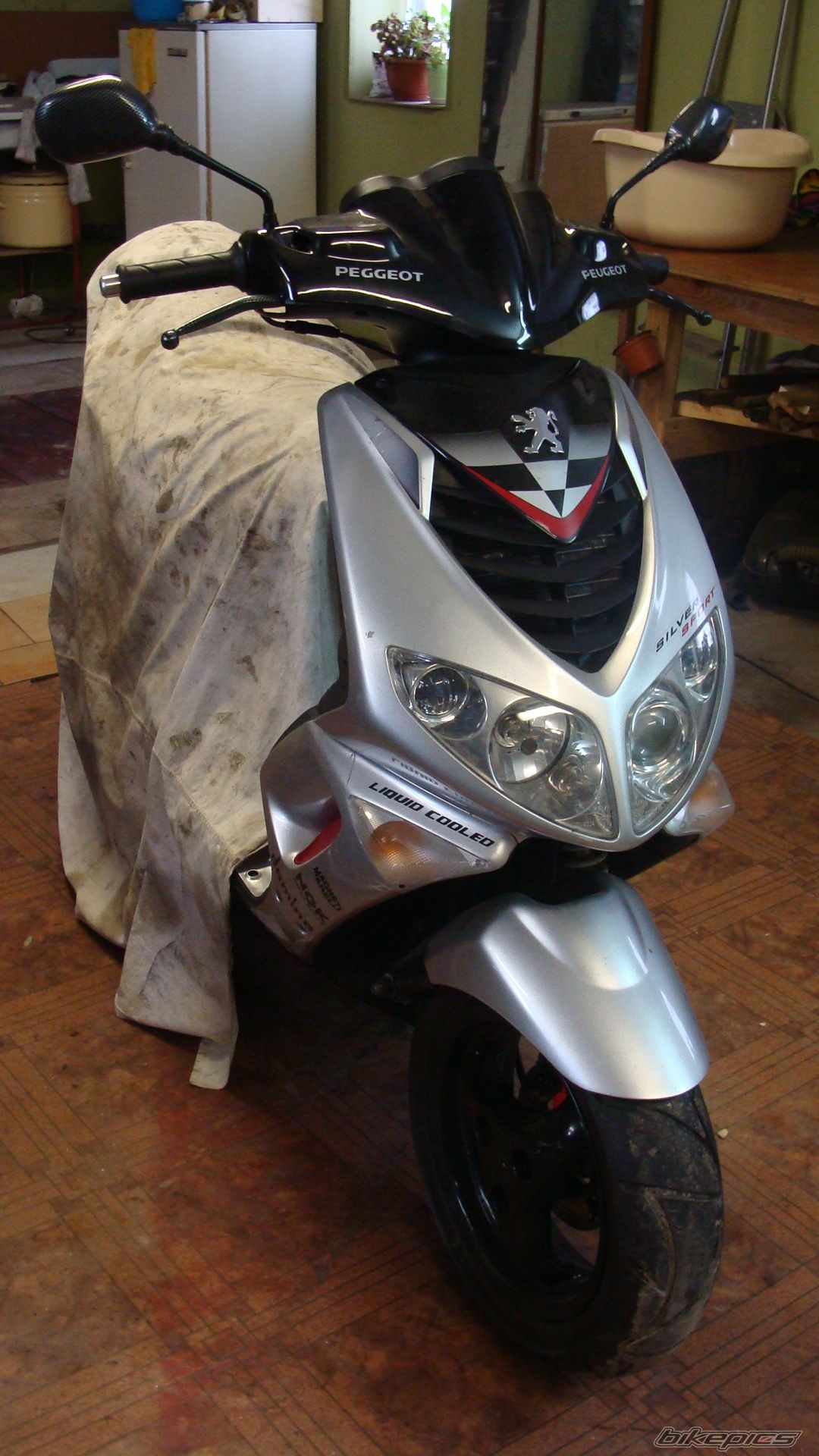 2003 PEUGEOT SPEEDFIGHT2 50 | Picture 2139105 motorcycle photo
