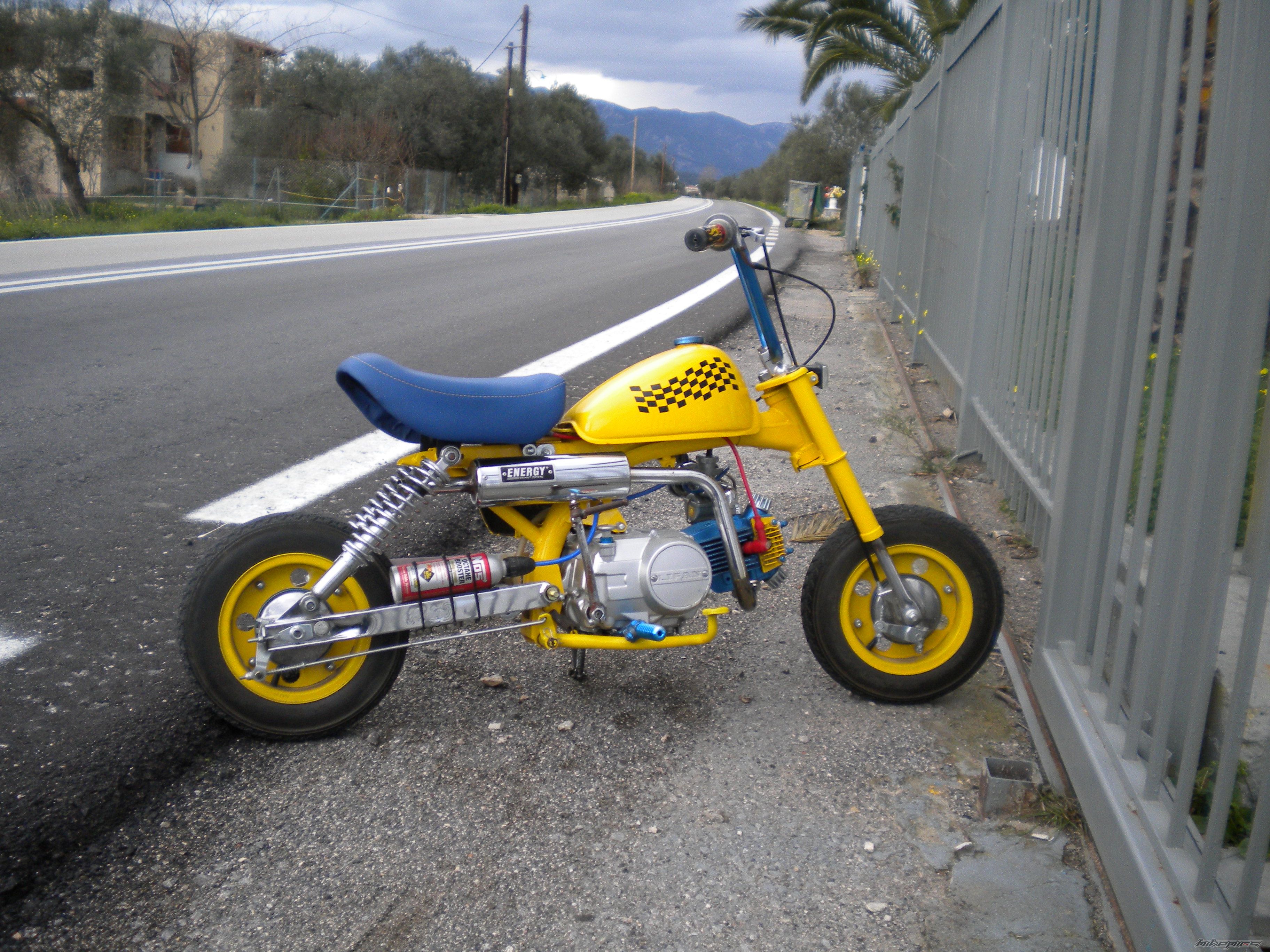 2011 HONDA Z 50 | Picture 2139149 motorcycle photo
