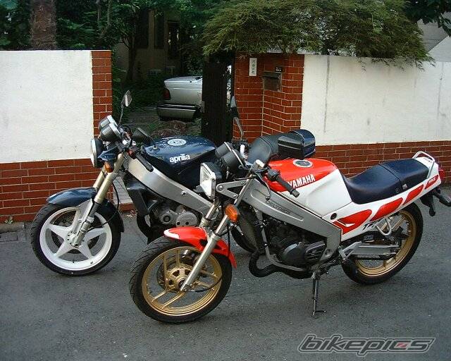 1993 APRILIA AF1 EUROPA 125 | Picture 214000 motorcycle photo