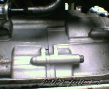 2004 YAMAHA RAPTOR YFZ 450 | Picture 214005 motorcycle photo