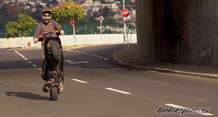 2010 PIAGGIO TYPHOON 80 | Picture 2140067 motorcycle photo