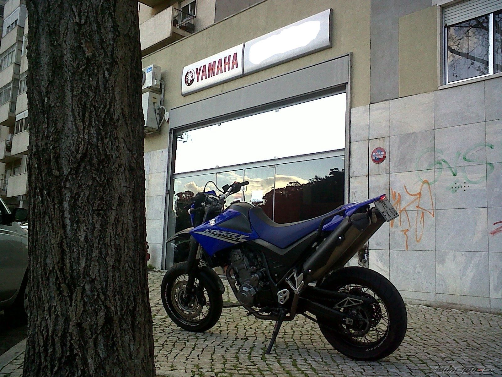 2008 YAMAHA XT 660X | Picture 2140643 motorcycle photo