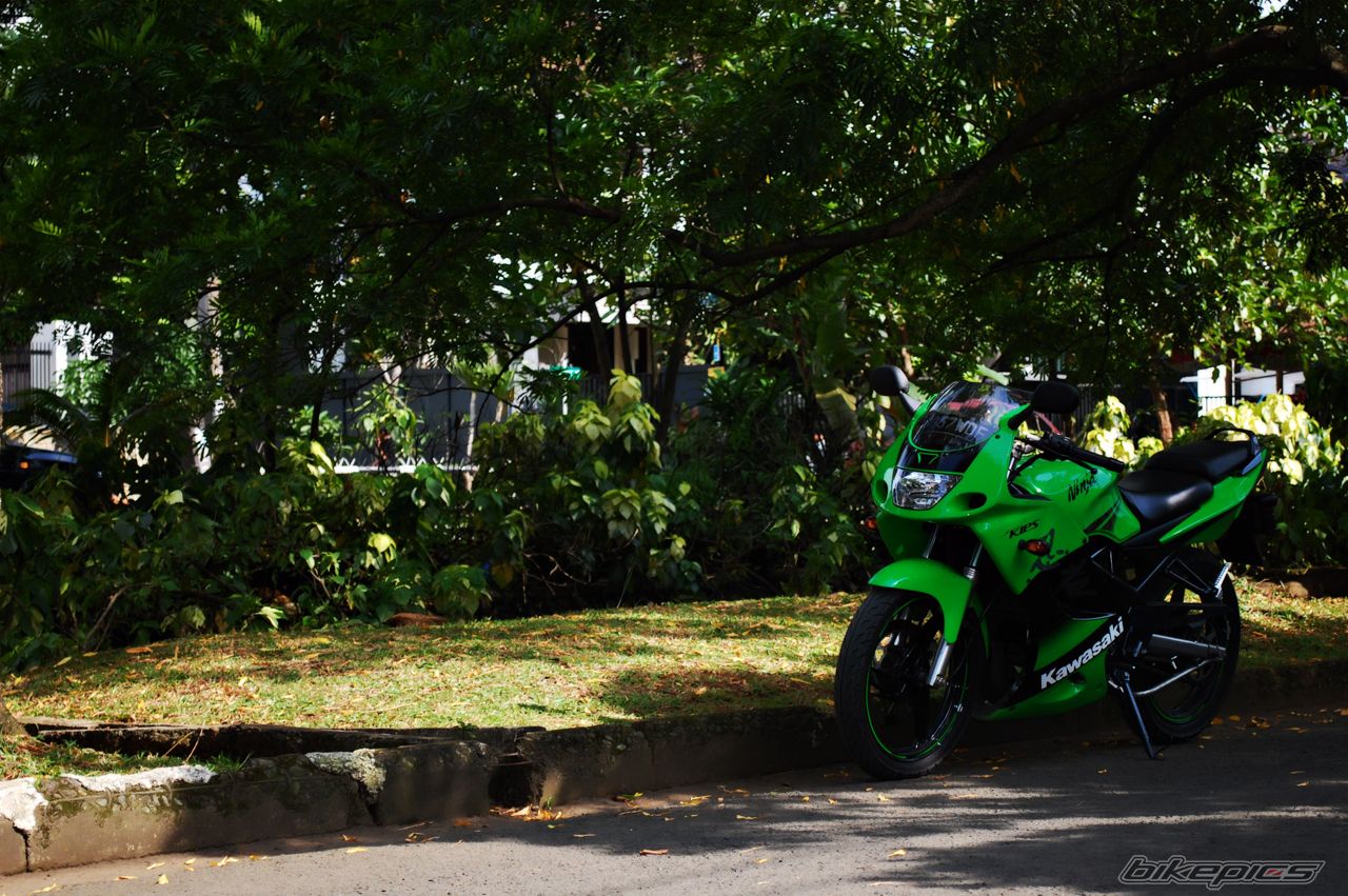 2010 KAWASAKI ZX 150 | Picture 2140925 motorcycle photo