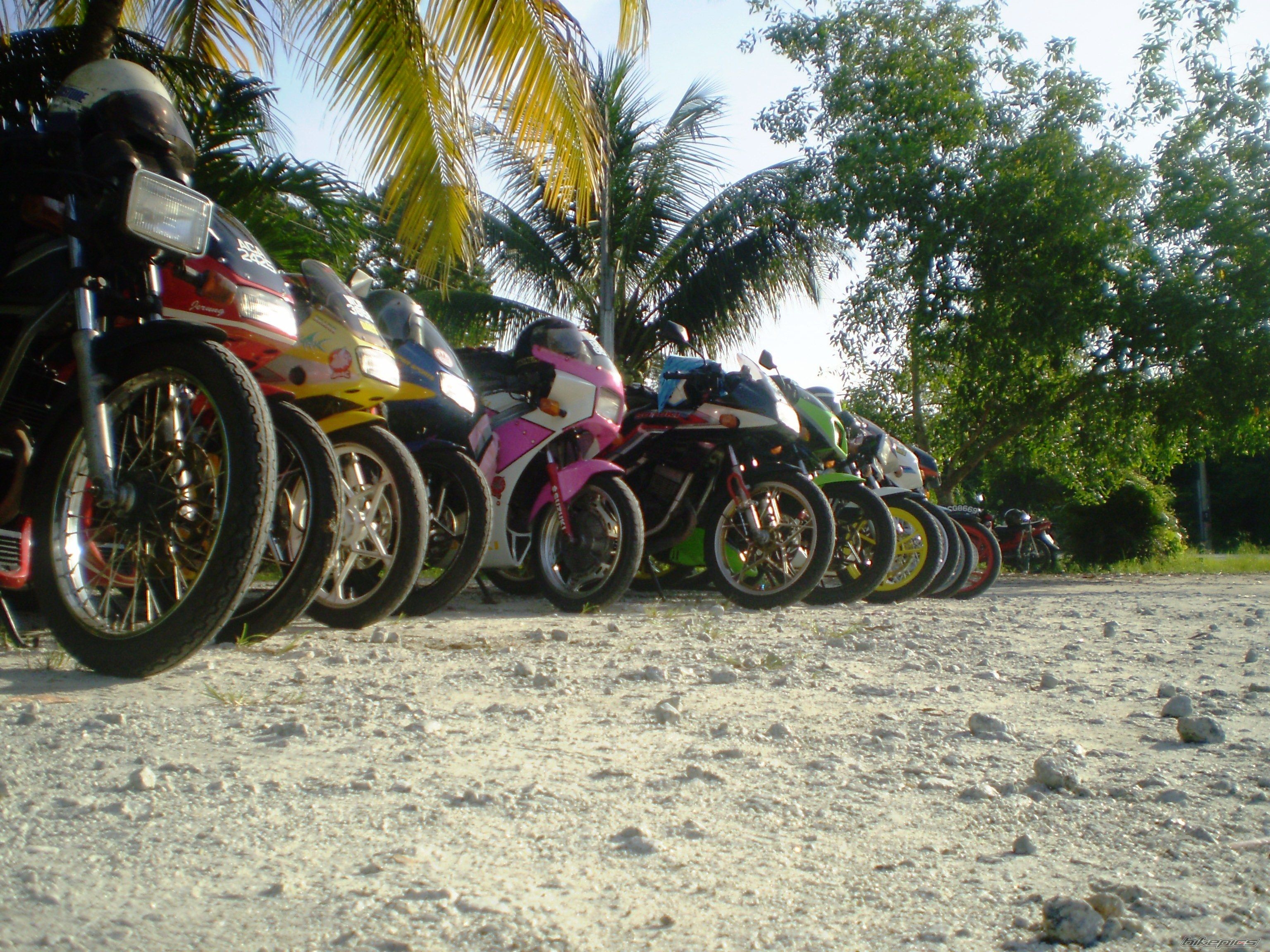 2011 SUZUKI TXR 150 | Picture 2141296 motorcycle photo