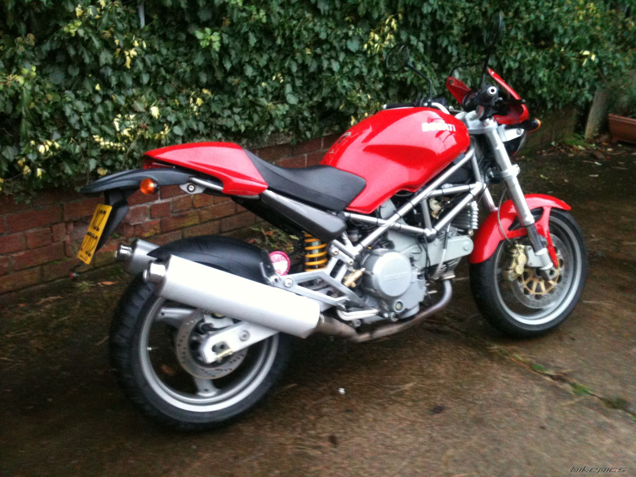 2004 DUCATI MONSTER 800 | Picture 2141489 motorcycle photo