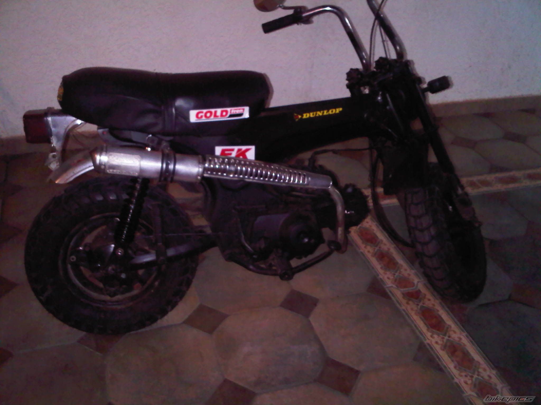 1982 HONDA DAX ST70 | Picture 2142307 motorcycle photo