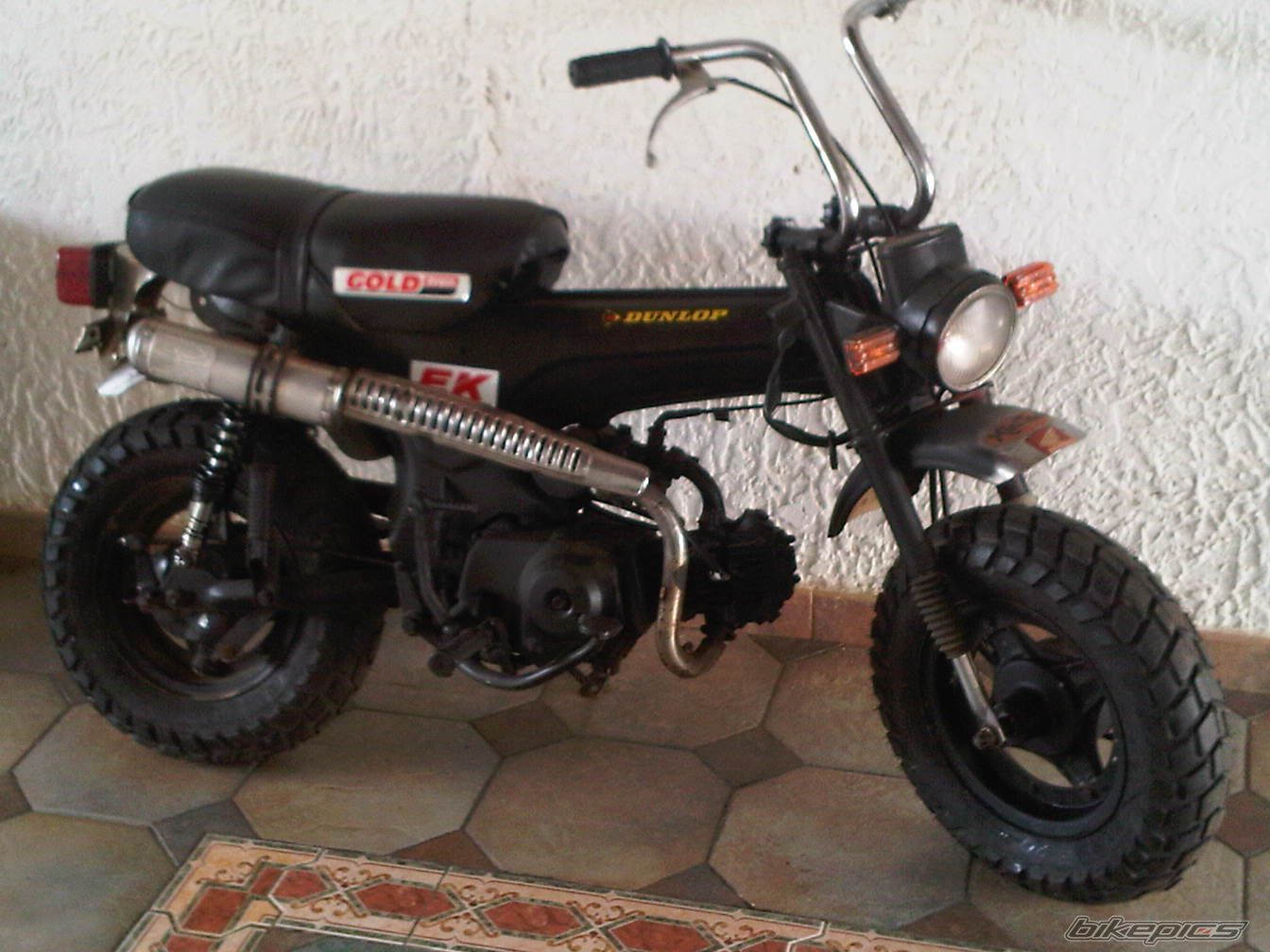 1982 HONDA DAX ST70 | Picture 2142313 motorcycle photo