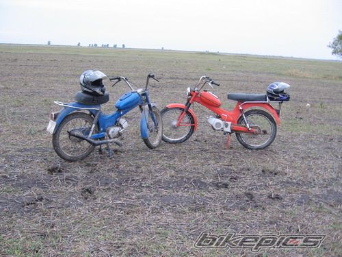 1983 TOMOS APN 4 | Picture 2143023 motorcycle photo