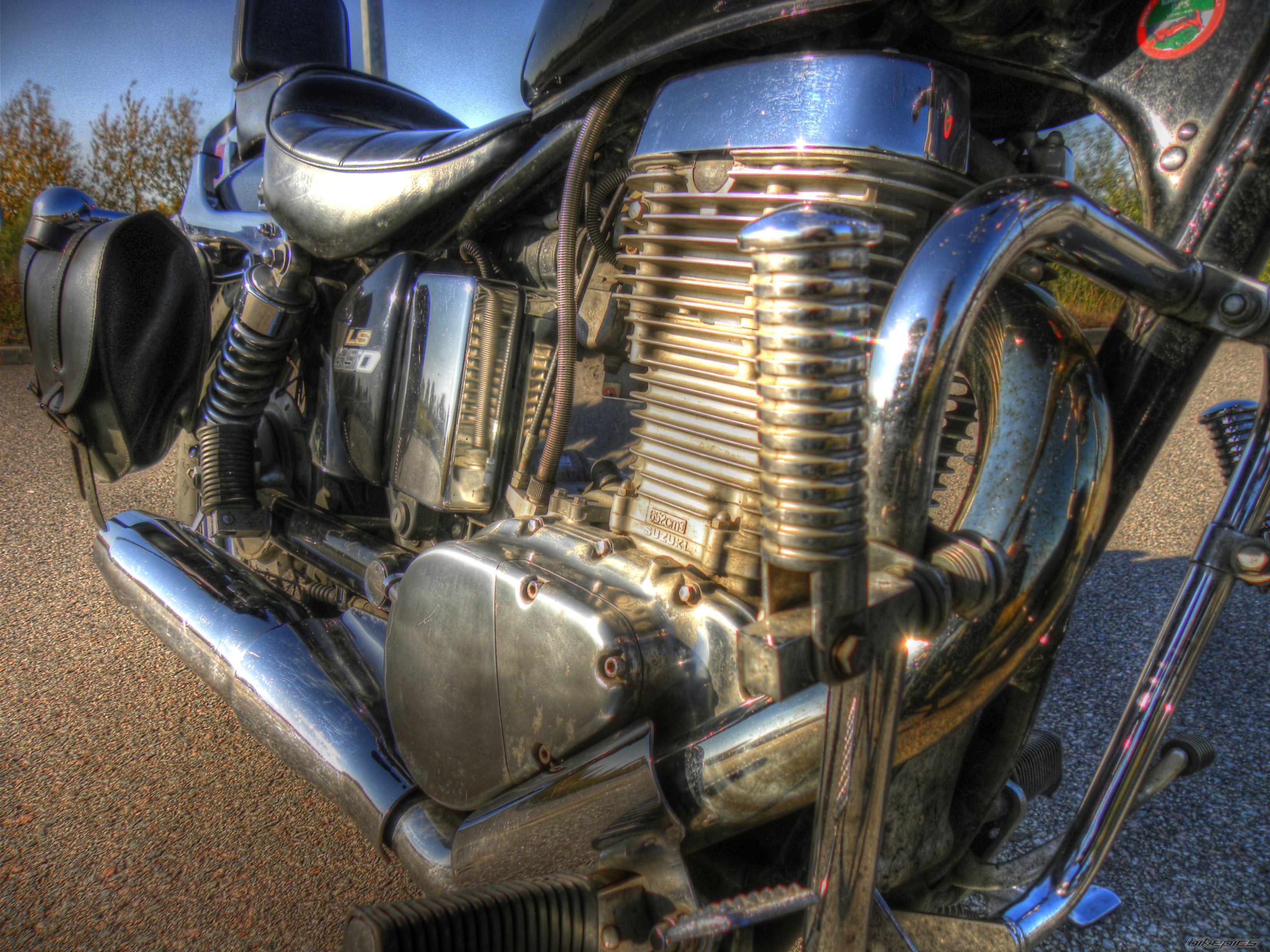 1998 SUZUKI SAVAGE | Picture 2143309 motorcycle photo