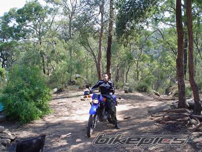 2003 YAMAHA XT 600 | Picture 214338 motorcycle photo