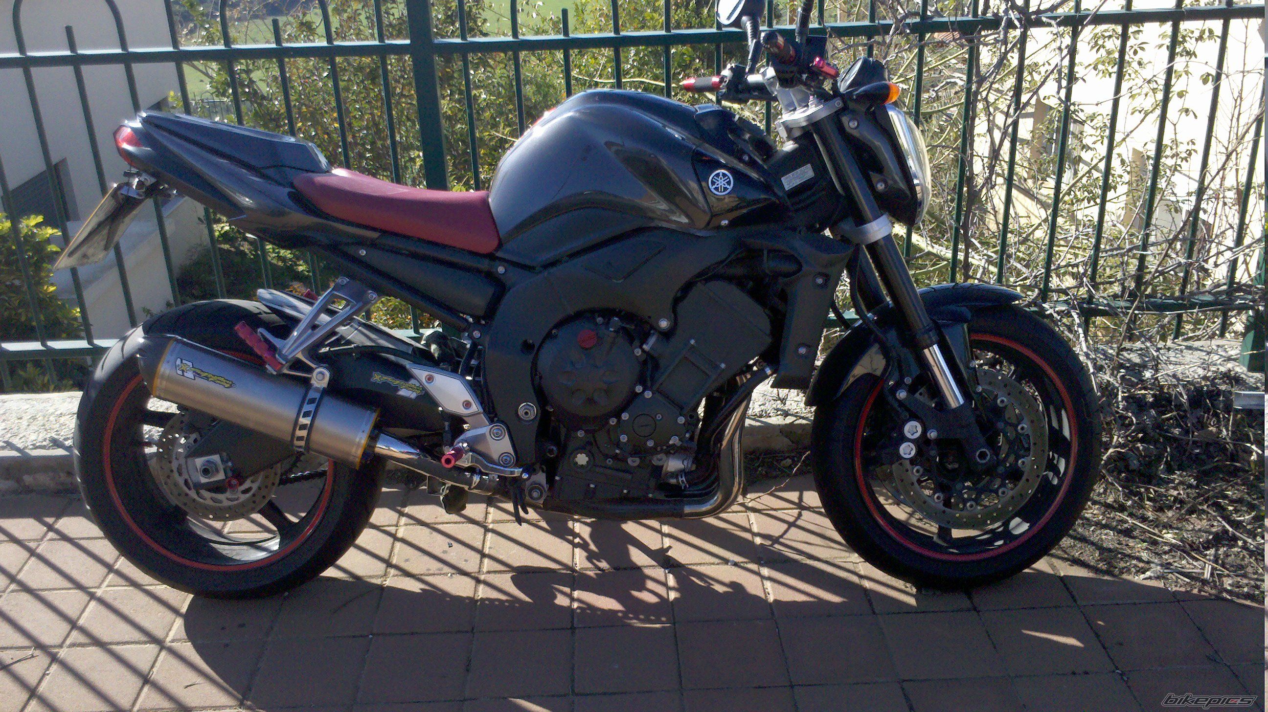 2009 YAMAHA FZ 1N | Picture 2144209 motorcycle photo