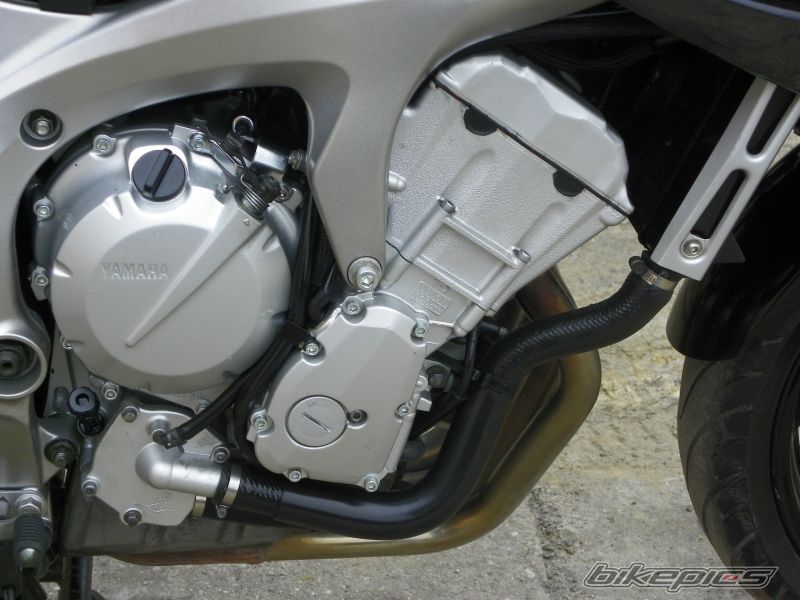 2006 YAMAHA FZ6 FAZER | Picture 2144886 motorcycle photo