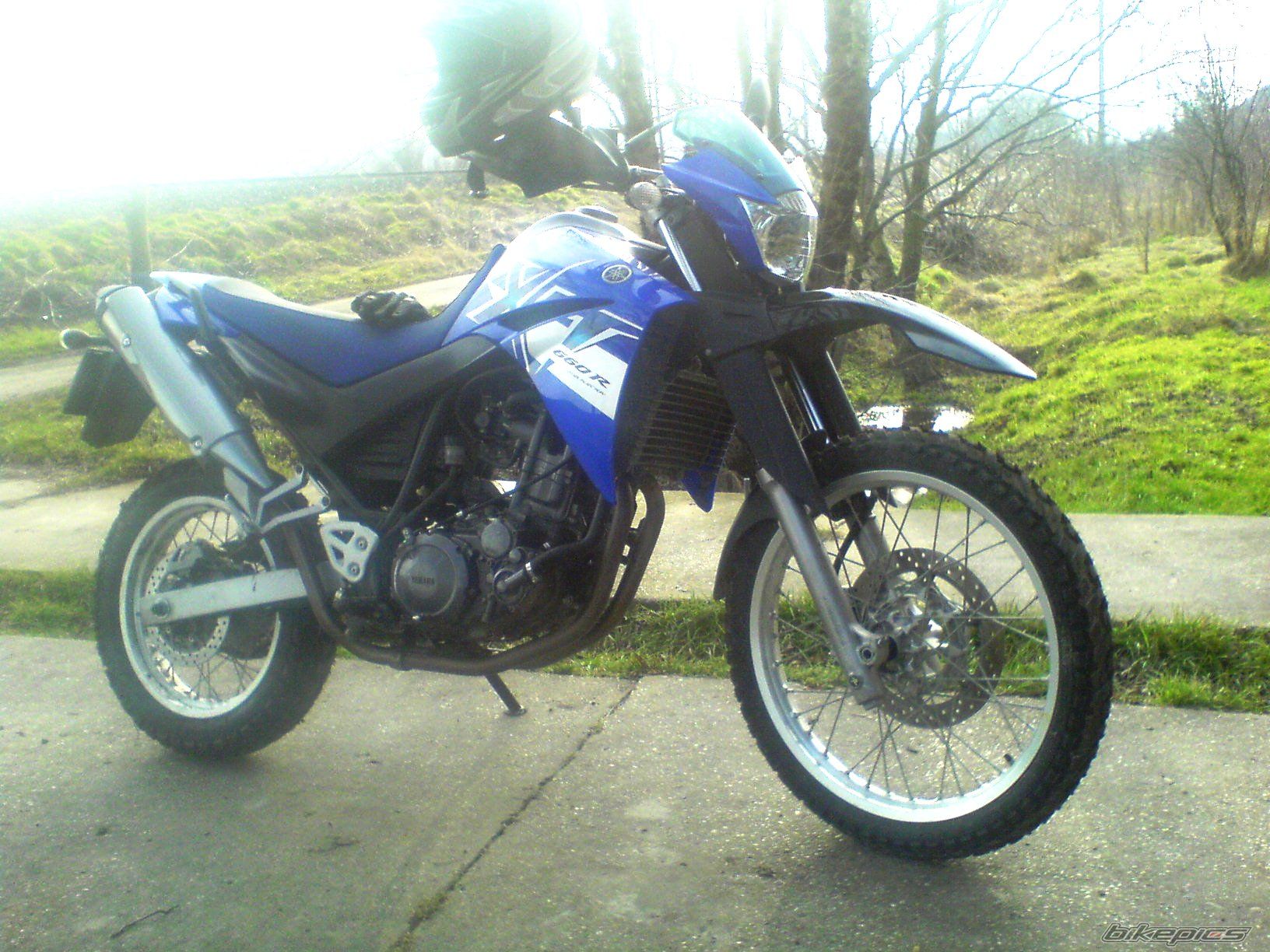 2009 YAMAHA XT 660 | Picture 2144952 motorcycle photo