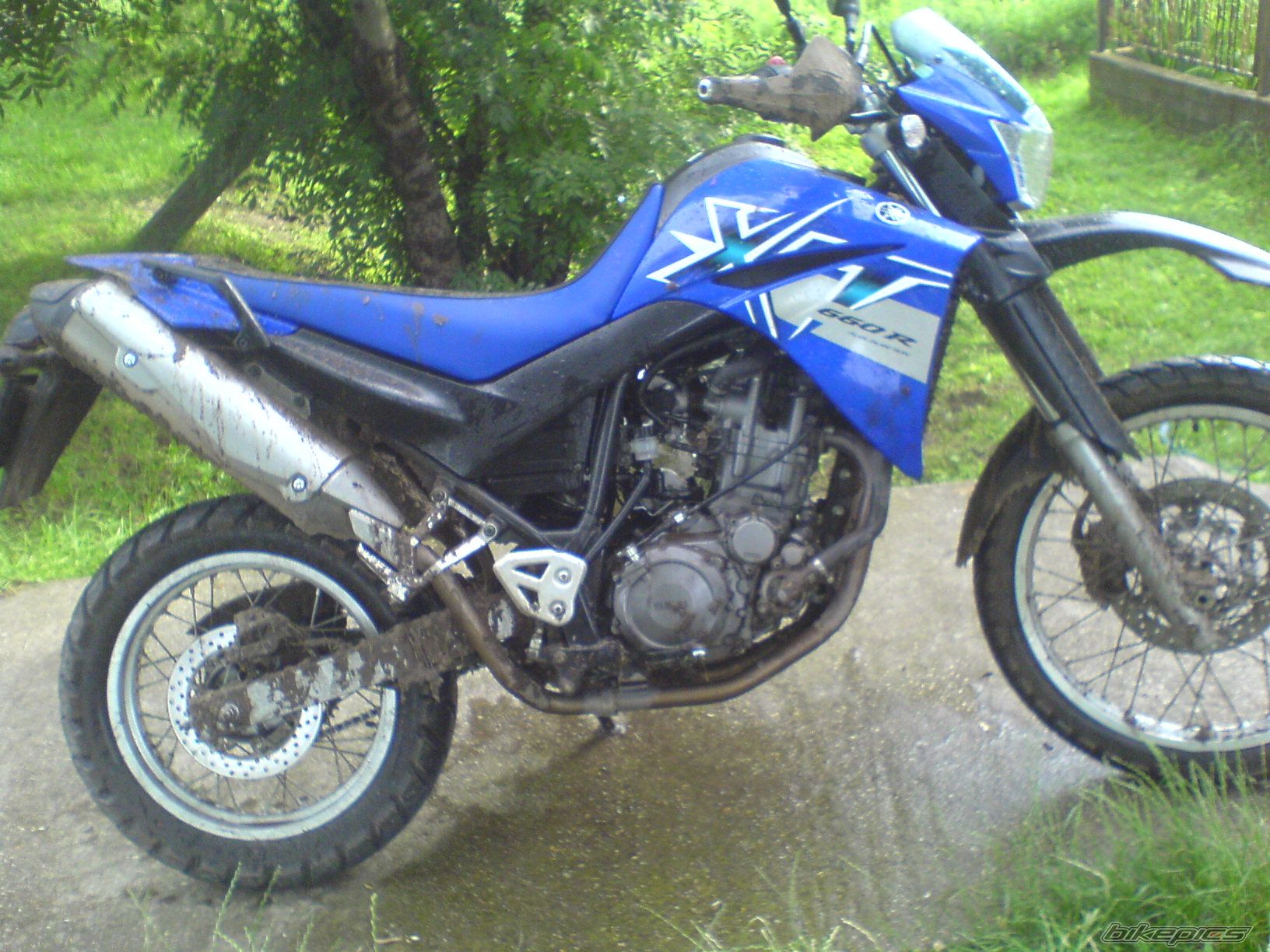 2009 YAMAHA XT 660 | Picture 2144957 motorcycle photo
