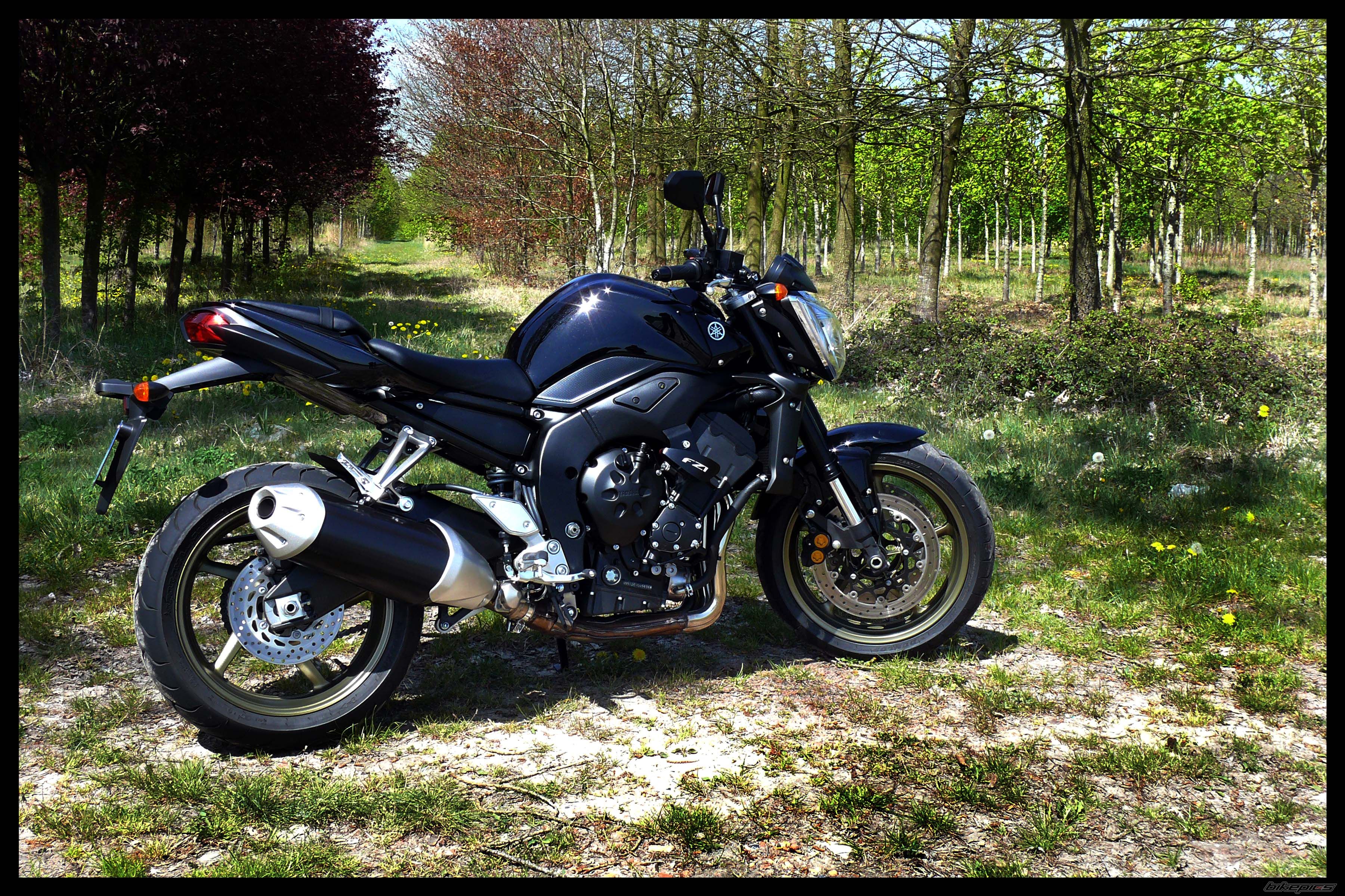 2009 YAMAHA FZ 1N | Picture 2145428 motorcycle photo