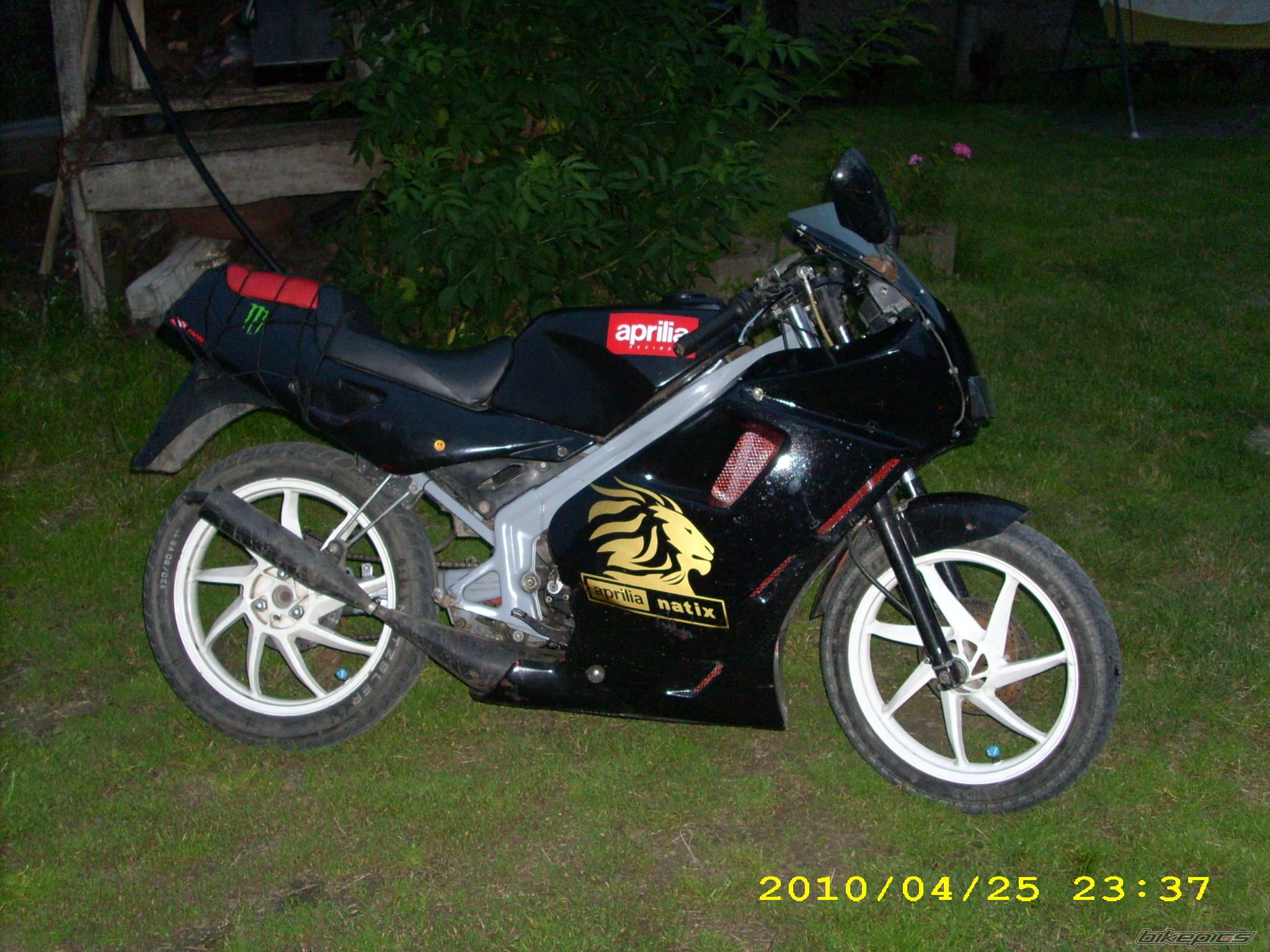 1992 APRILIA AF1 SINTESI 50 | Picture 2145817 motorcycle photo