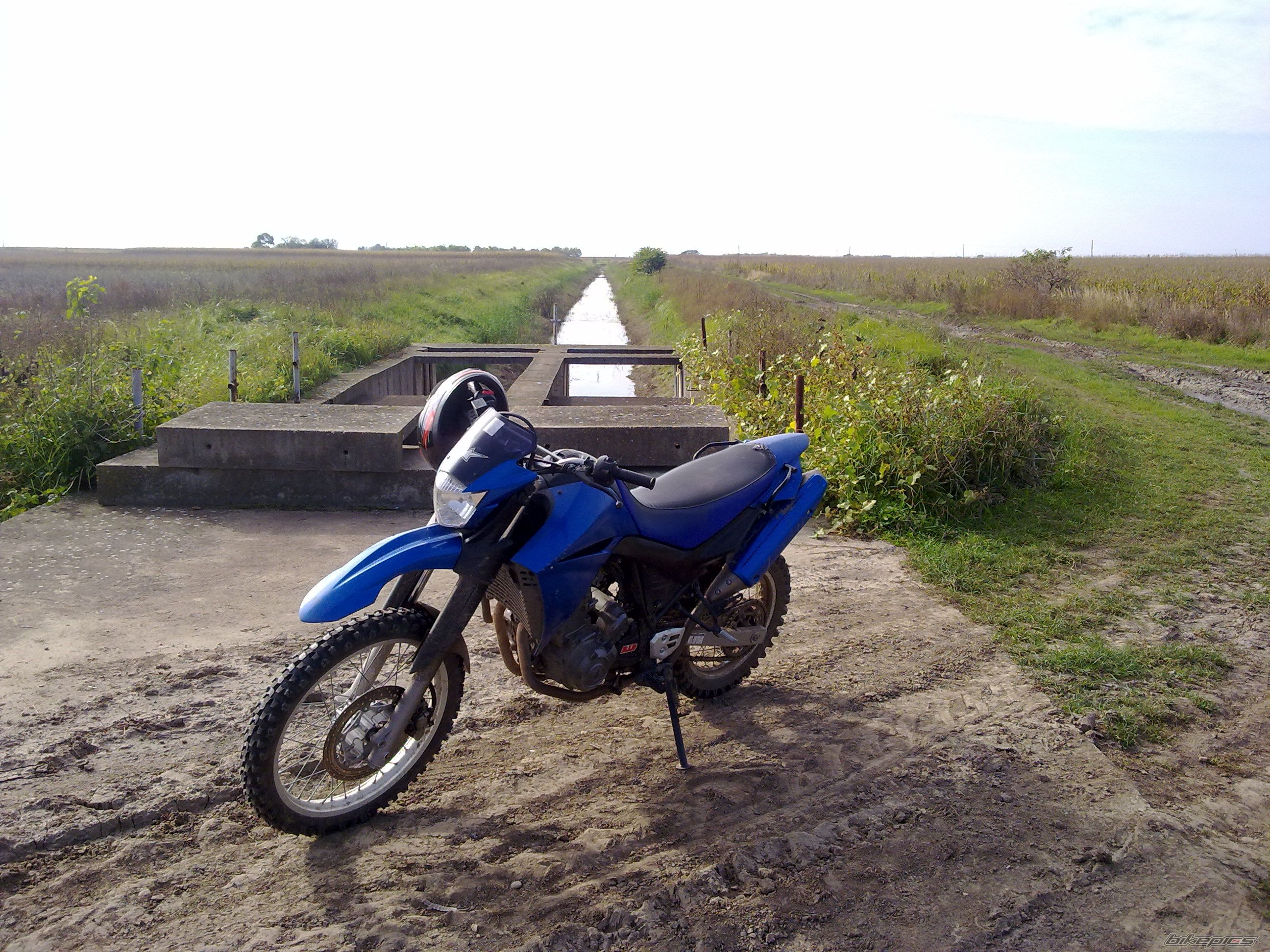 2006 YAMAHA XT 660 | Picture 2146232 motorcycle photo