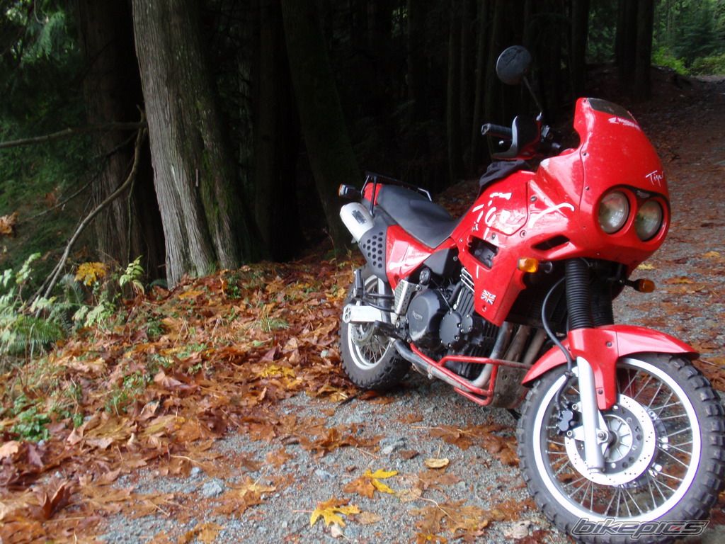 1994 TRIUMPH TIGER | Picture 2146525 motorcycle photo