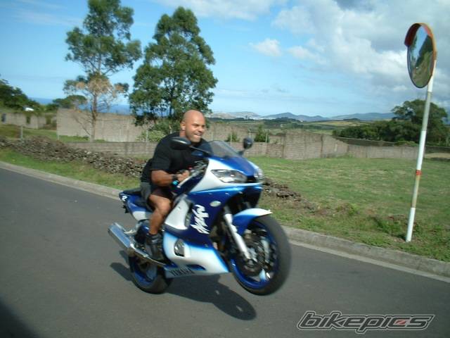 2001 YAMAHA YZF R1 | Picture 214809 motorcycle photo