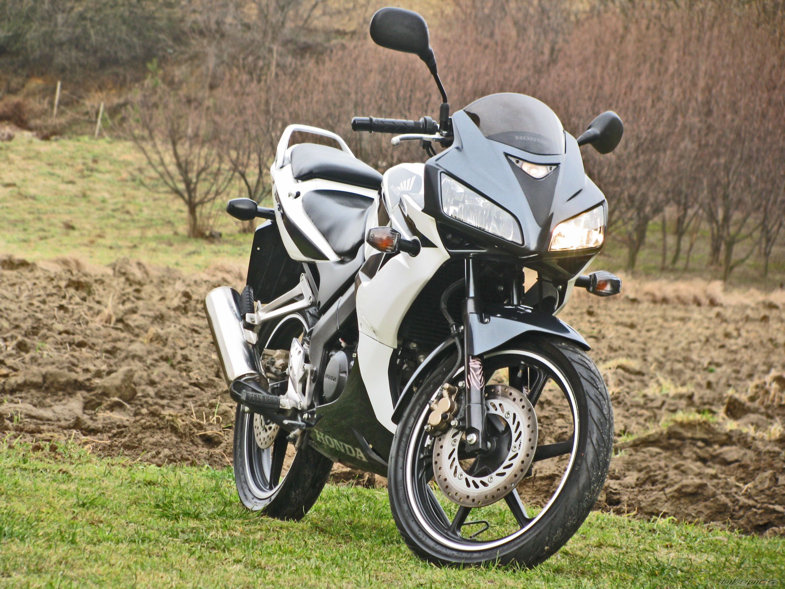 2008 HONDA CBR 125 | Picture 2148714 motorcycle photo