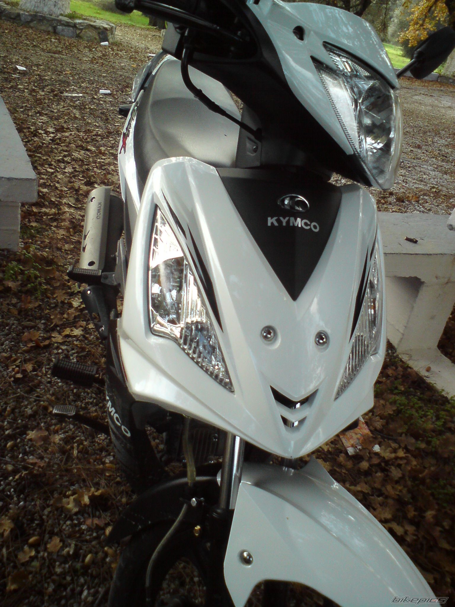 2010 KYMCO JETIX | Picture 2149294 motorcycle photo