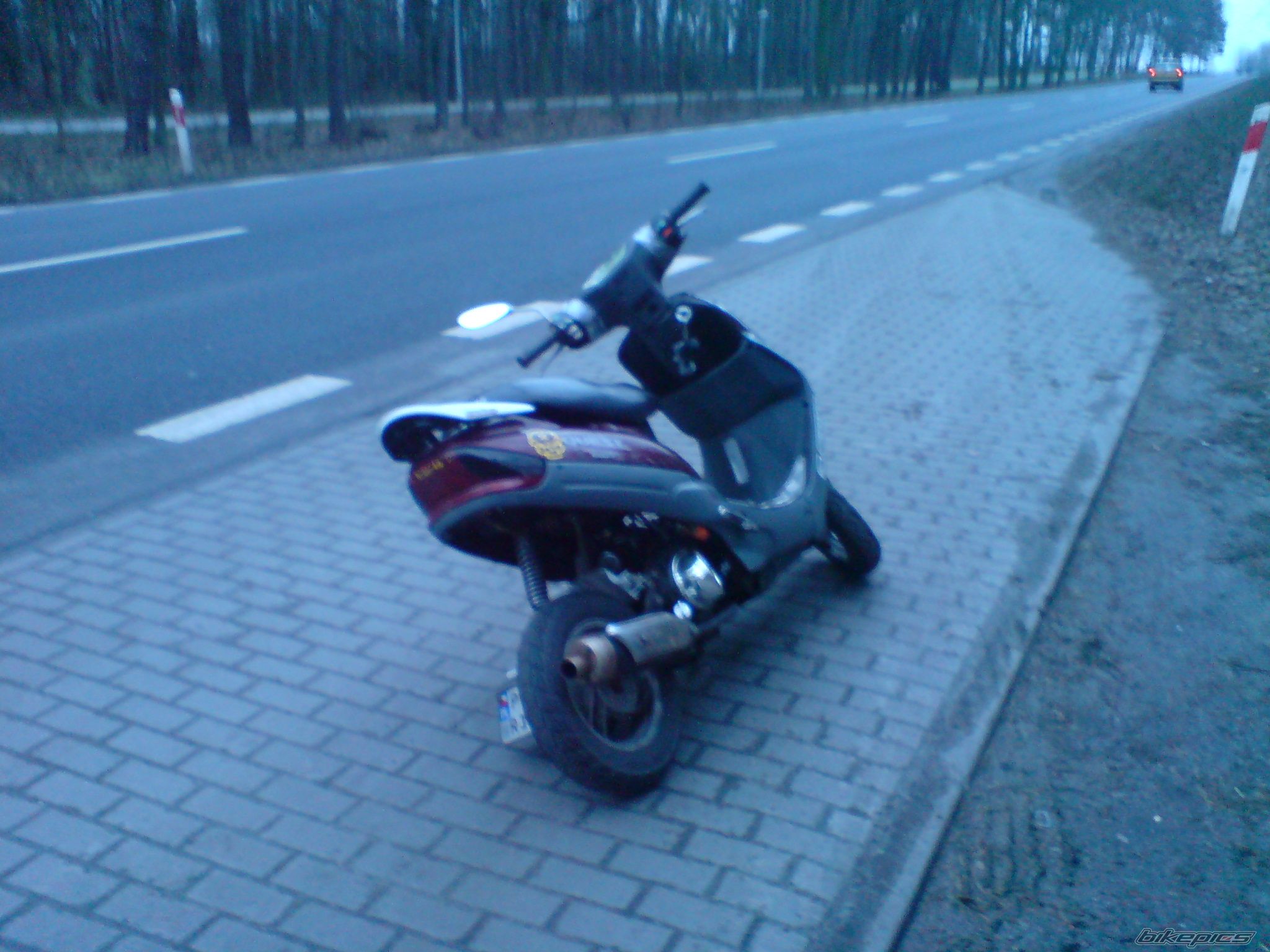 2003 YLSMCO FD50QT | Picture 2149331 motorcycle photo