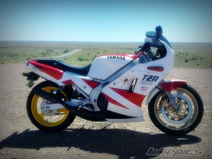 1988 YAMAHA TZR 250 | Picture 2149681 motorcycle photo