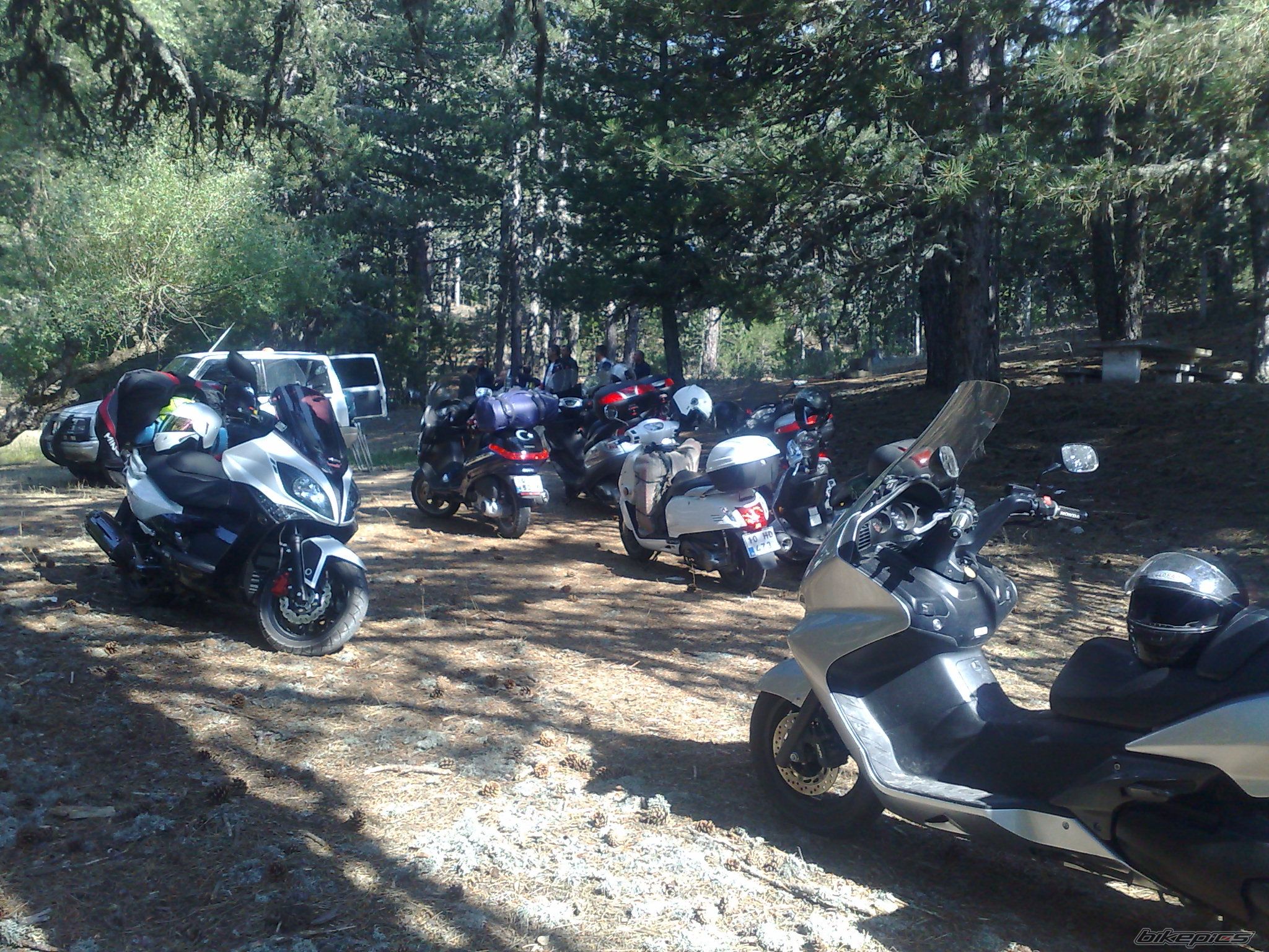 2010 KYMCO LIKE 125 | Picture 2149904 motorcycle photo