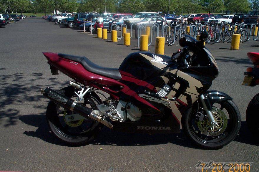 1998 HONDA CBR 600 | Picture 21502 motorcycle photo