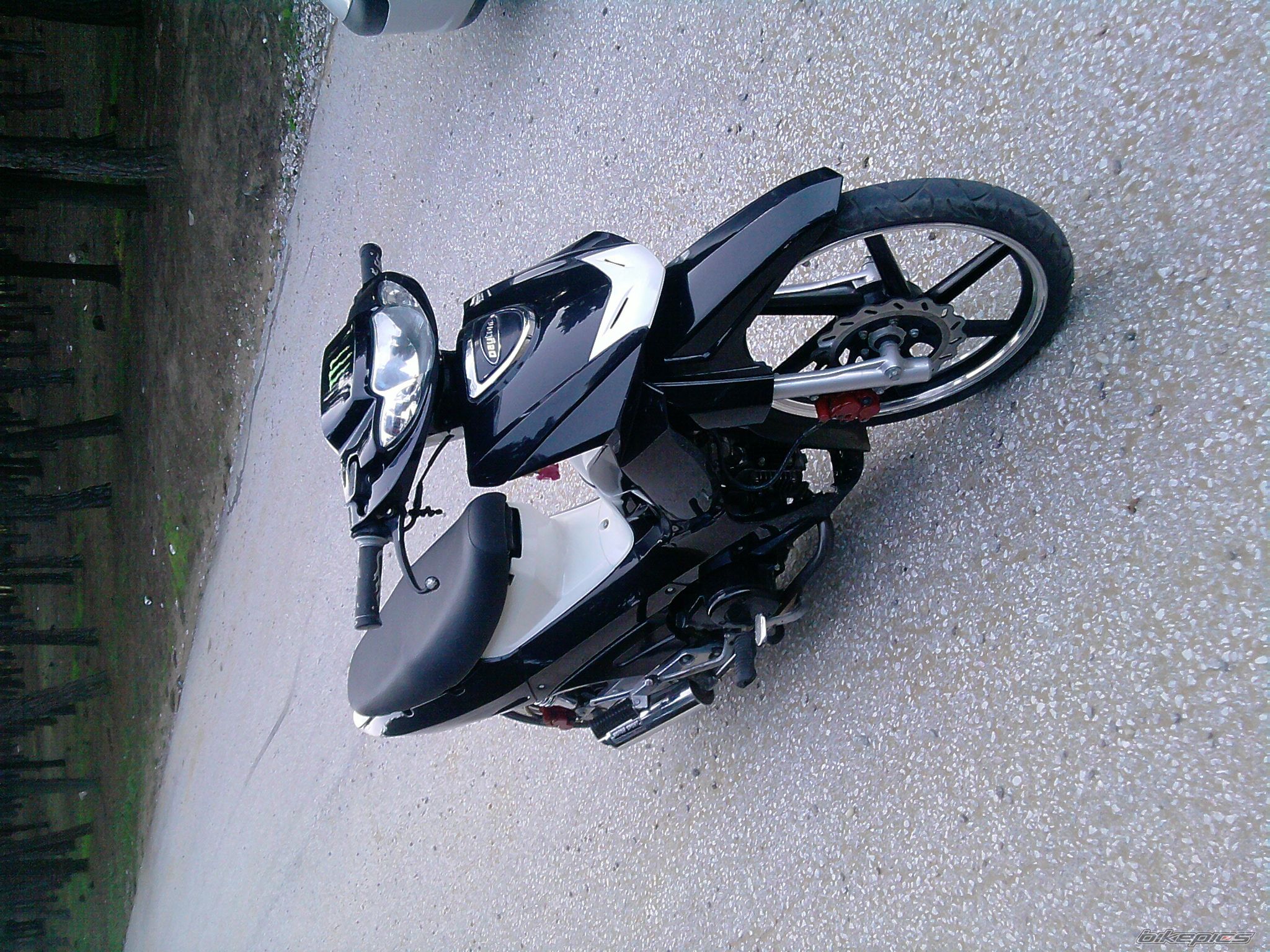 2010 DAYTONA SPRINTER | Picture 2150371 motorcycle photo