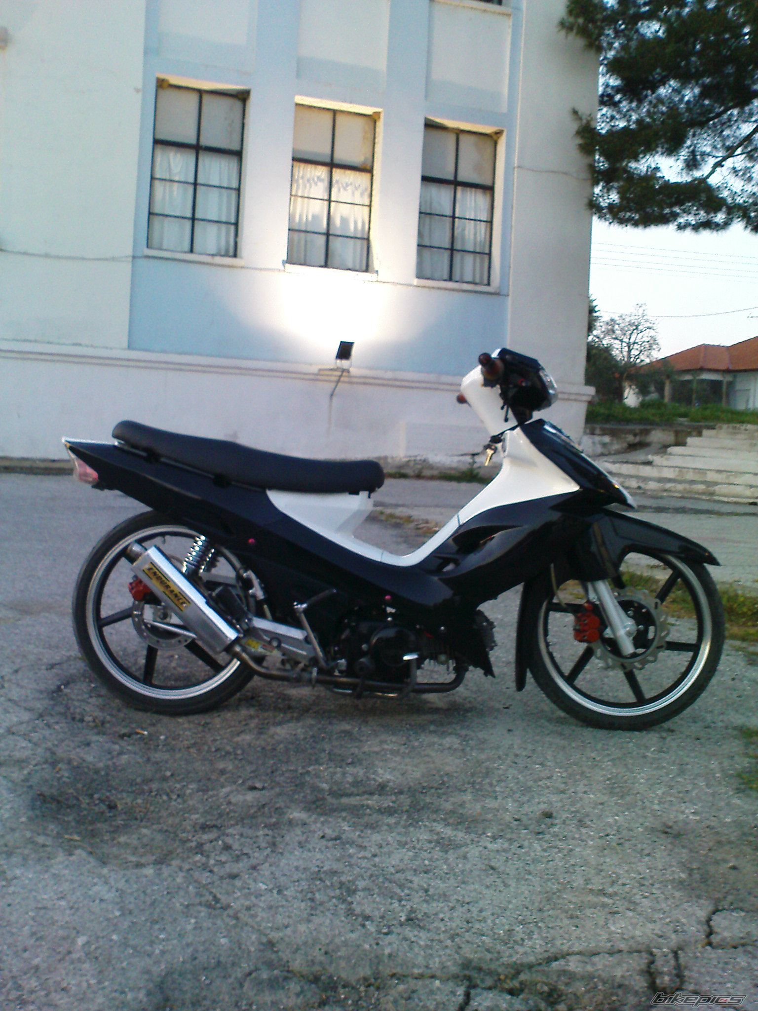 2010 DAYTONA SPRINTER | Picture 2150374 motorcycle photo