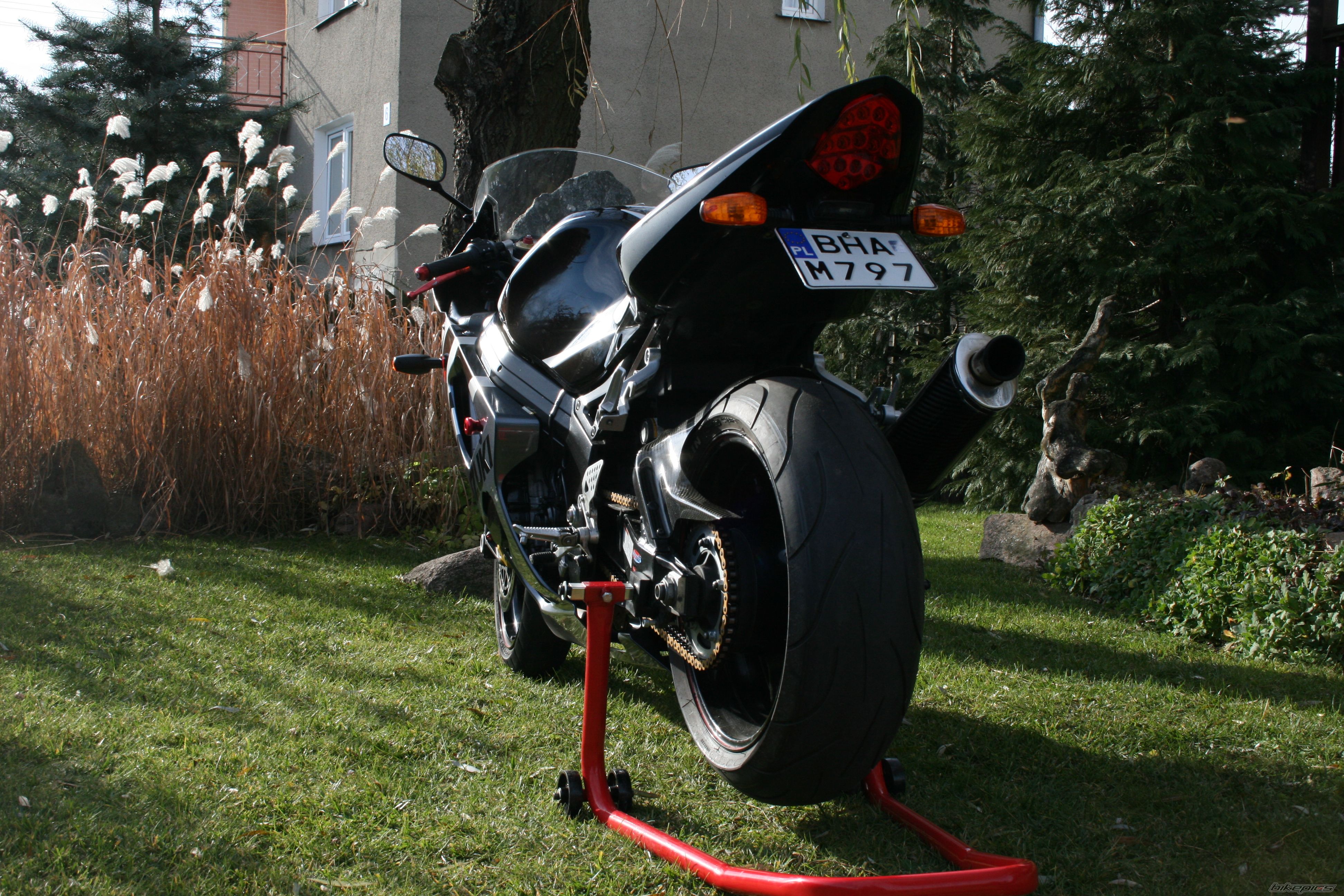 2004 SUZUKI GSX R 1000 | Picture 2151417 motorcycle photo