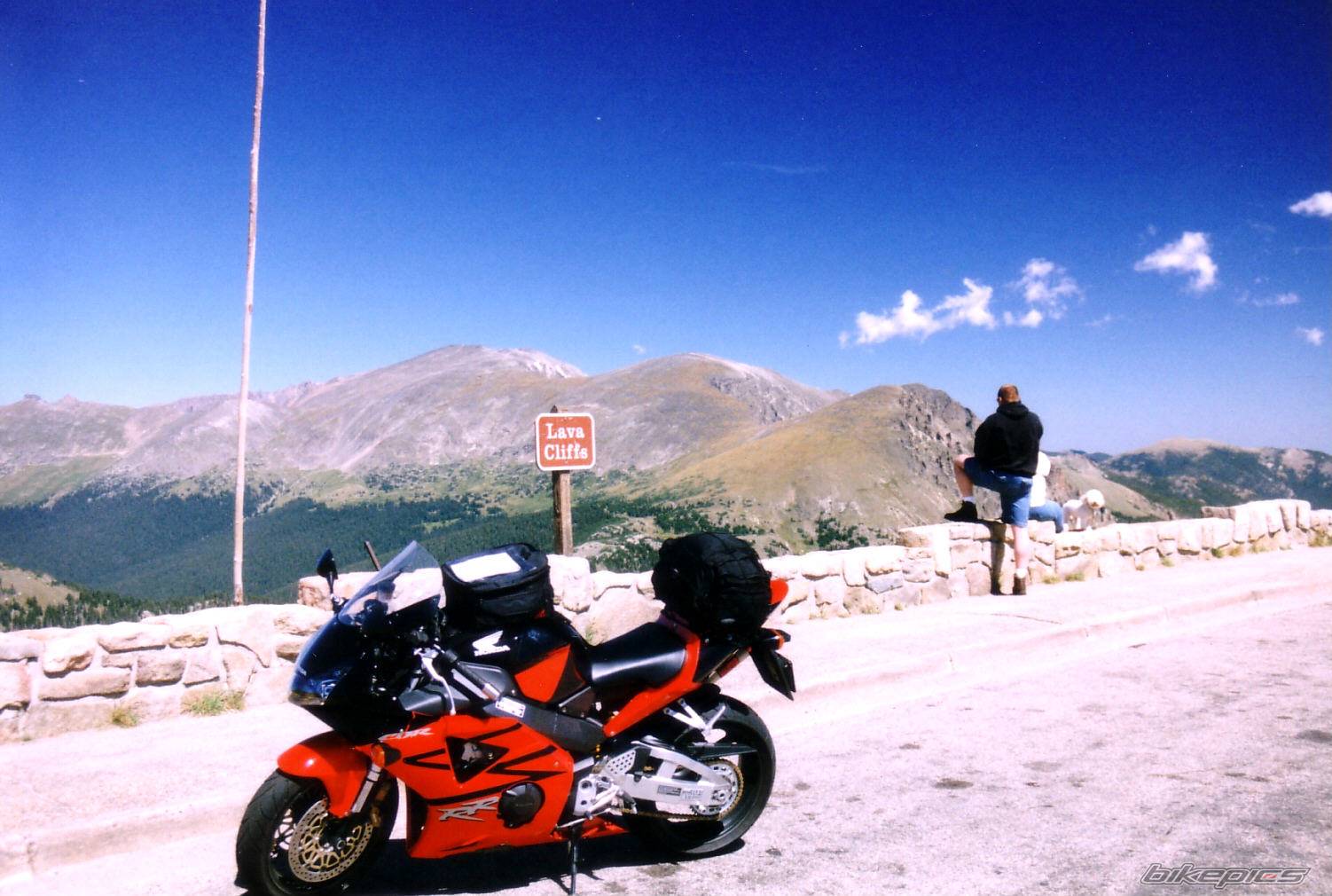2003 HONDA CBR 900 | Picture 215149 motorcycle photo