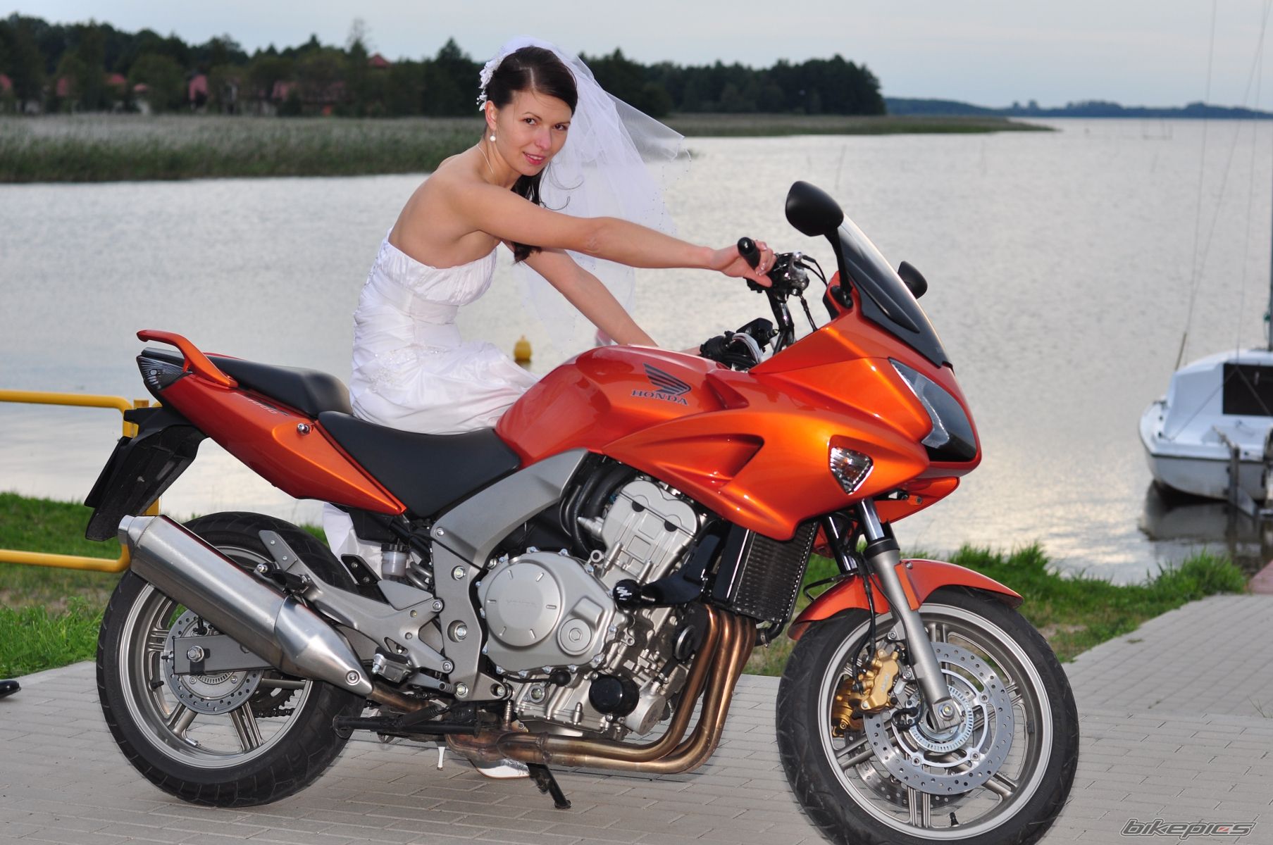 2007 HONDA CBF 1000 | Picture 2151632 motorcycle photo