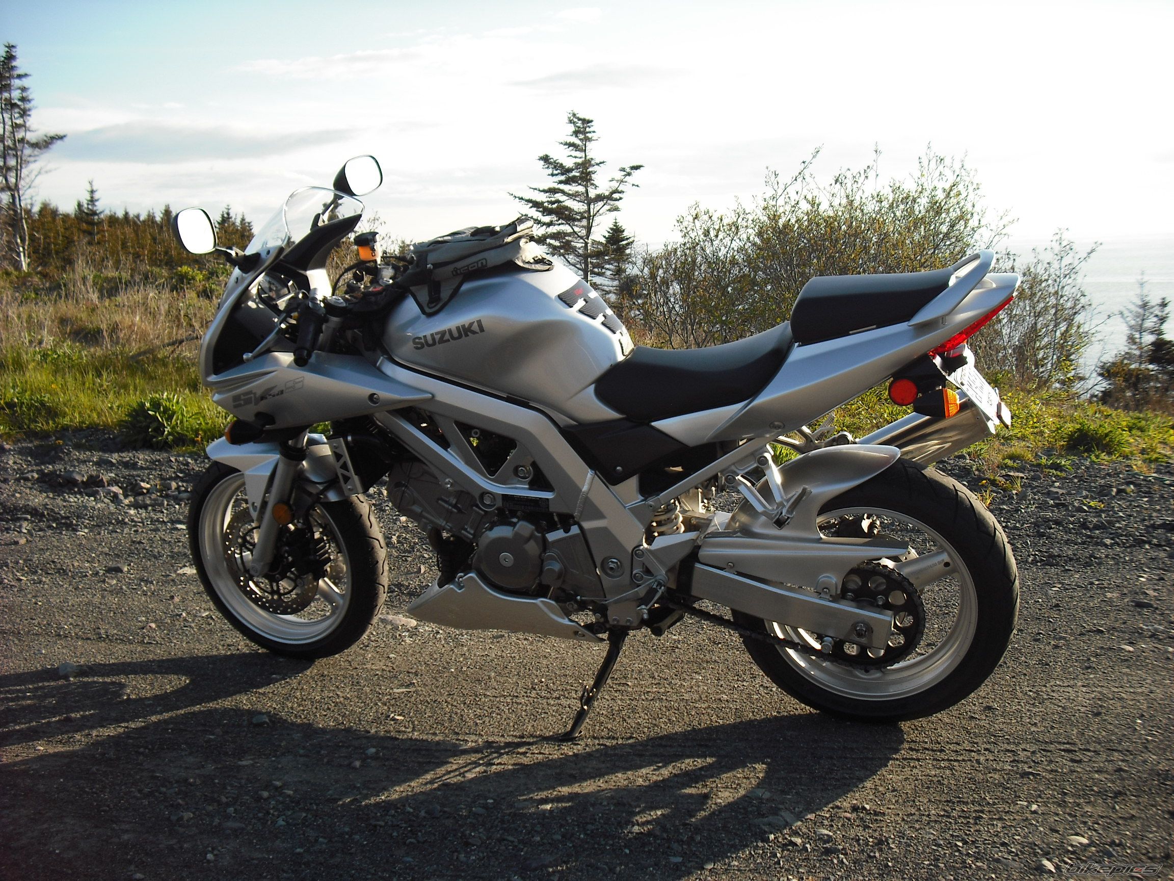 2003 SUZUKI SV 650S | Picture 2151827 motorcycle photo