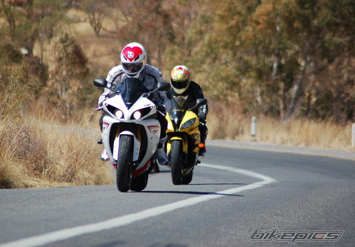 2008 YAMAHA YZF R6 | Picture 2153739 motorcycle photo