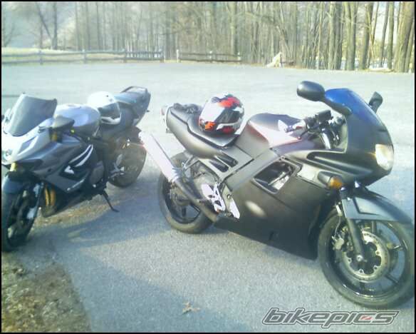 1991 HONDA CBR 600 | Picture 2155235 motorcycle photo