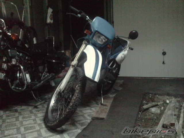 1999 DERBI SENDA R 50 | Picture 2155505 motorcycle photo