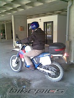 1987 SUZUKI RH250X | Picture 2155539 motorcycle photo
