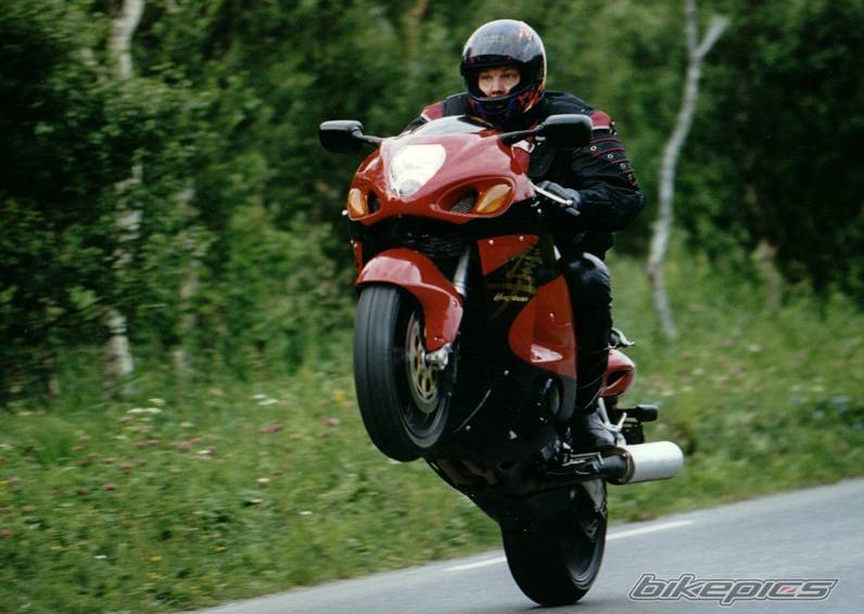 1999 SUZUKI HAYABUSA | Picture 2156 motorcycle photo